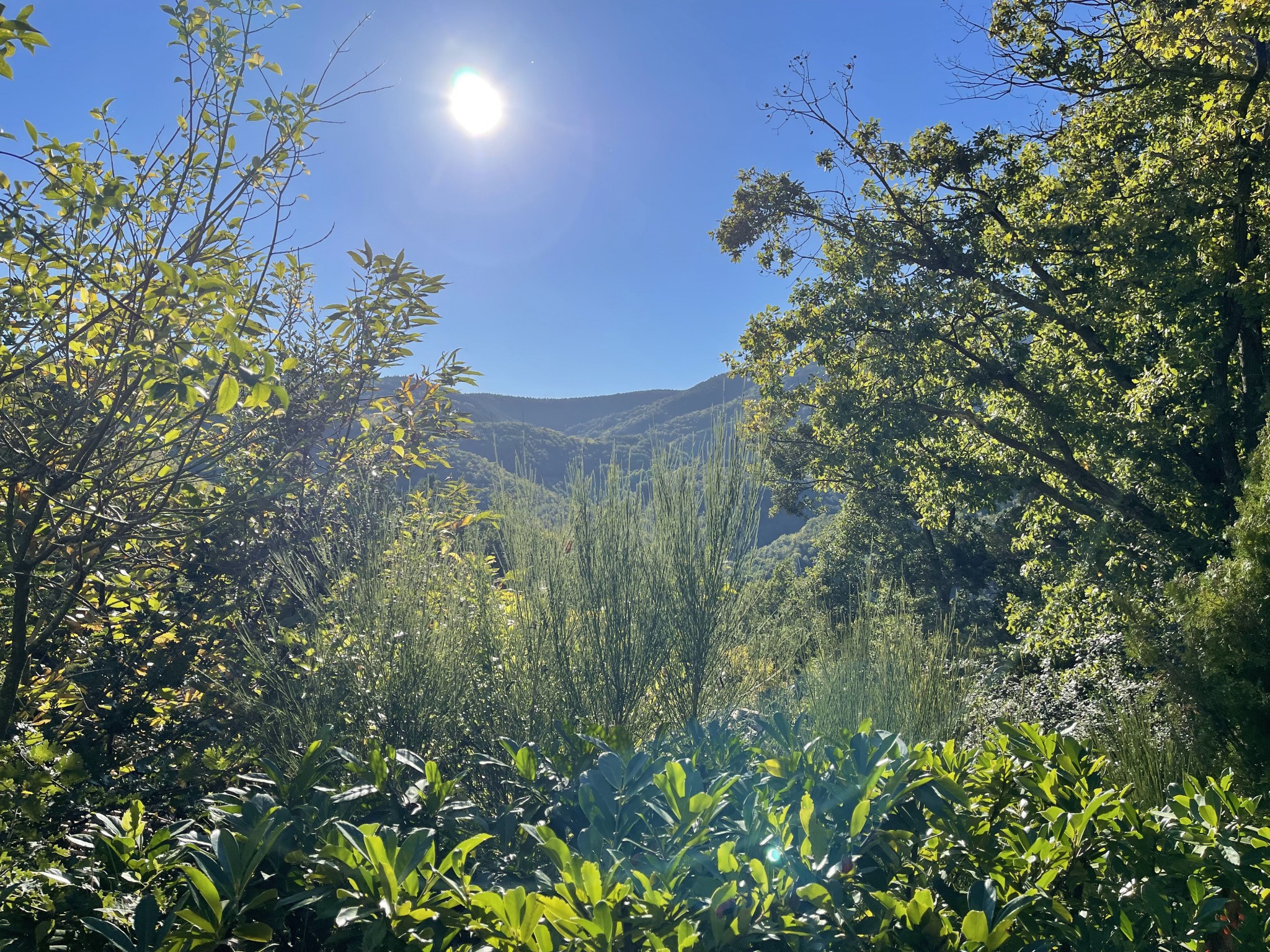 Vente Terrain à Maureillas-las-Illas 0 pièce