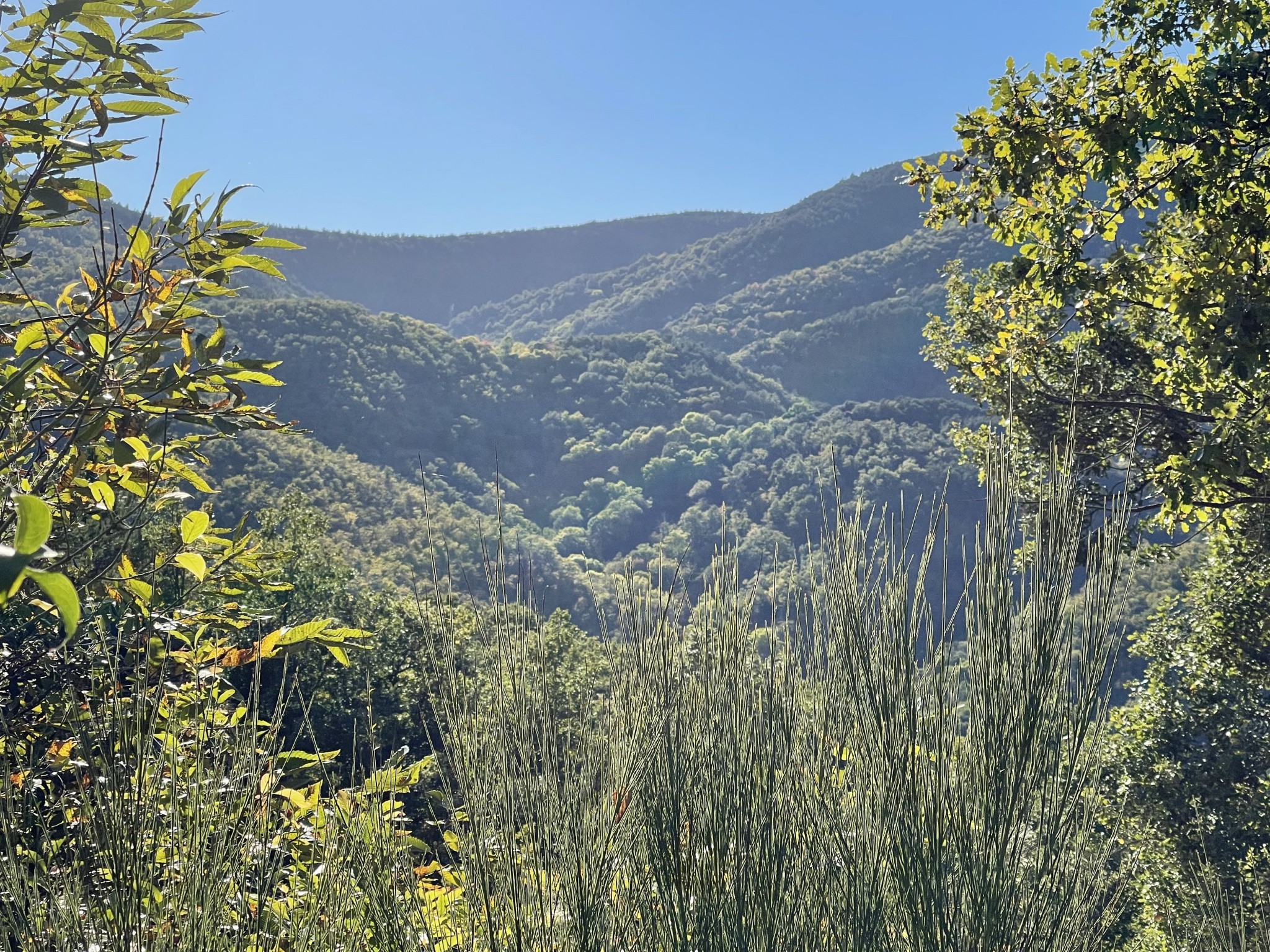 Vente Terrain à Maureillas-las-Illas 0 pièce