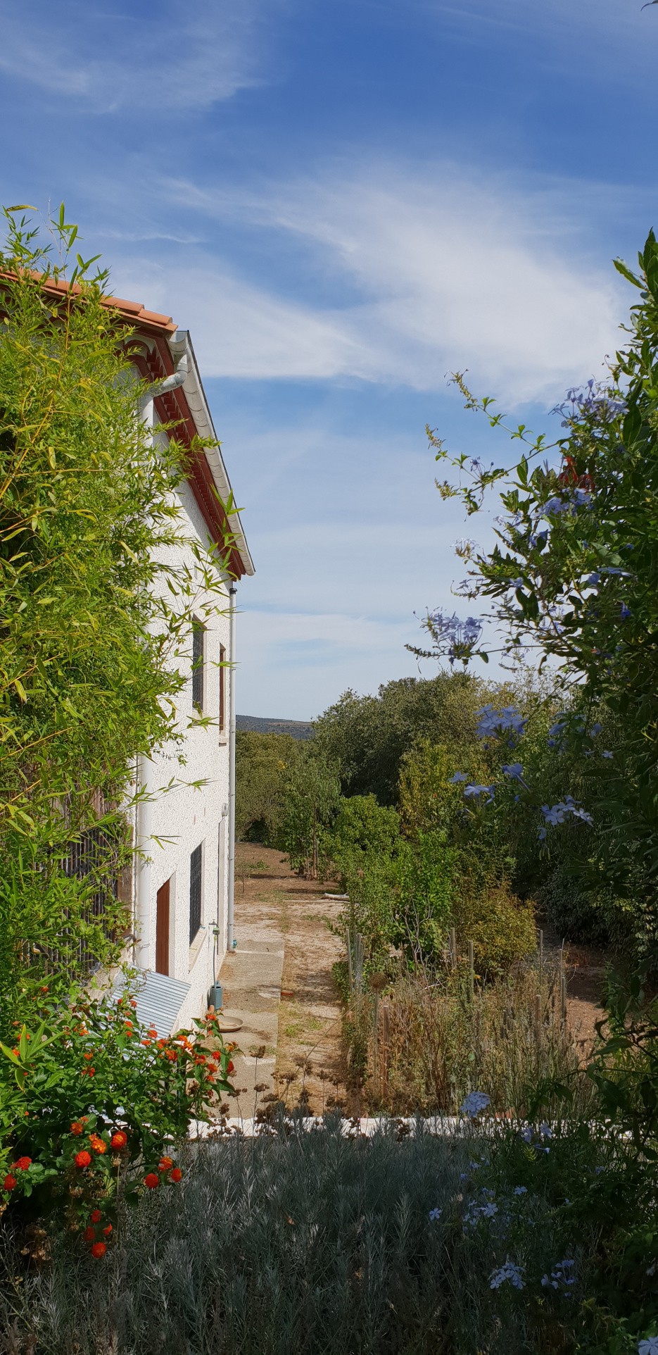 Vente Maison à Céret 5 pièces