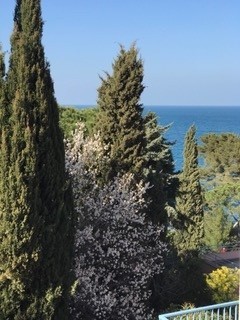 Vente Appartement à Collioure 2 pièces