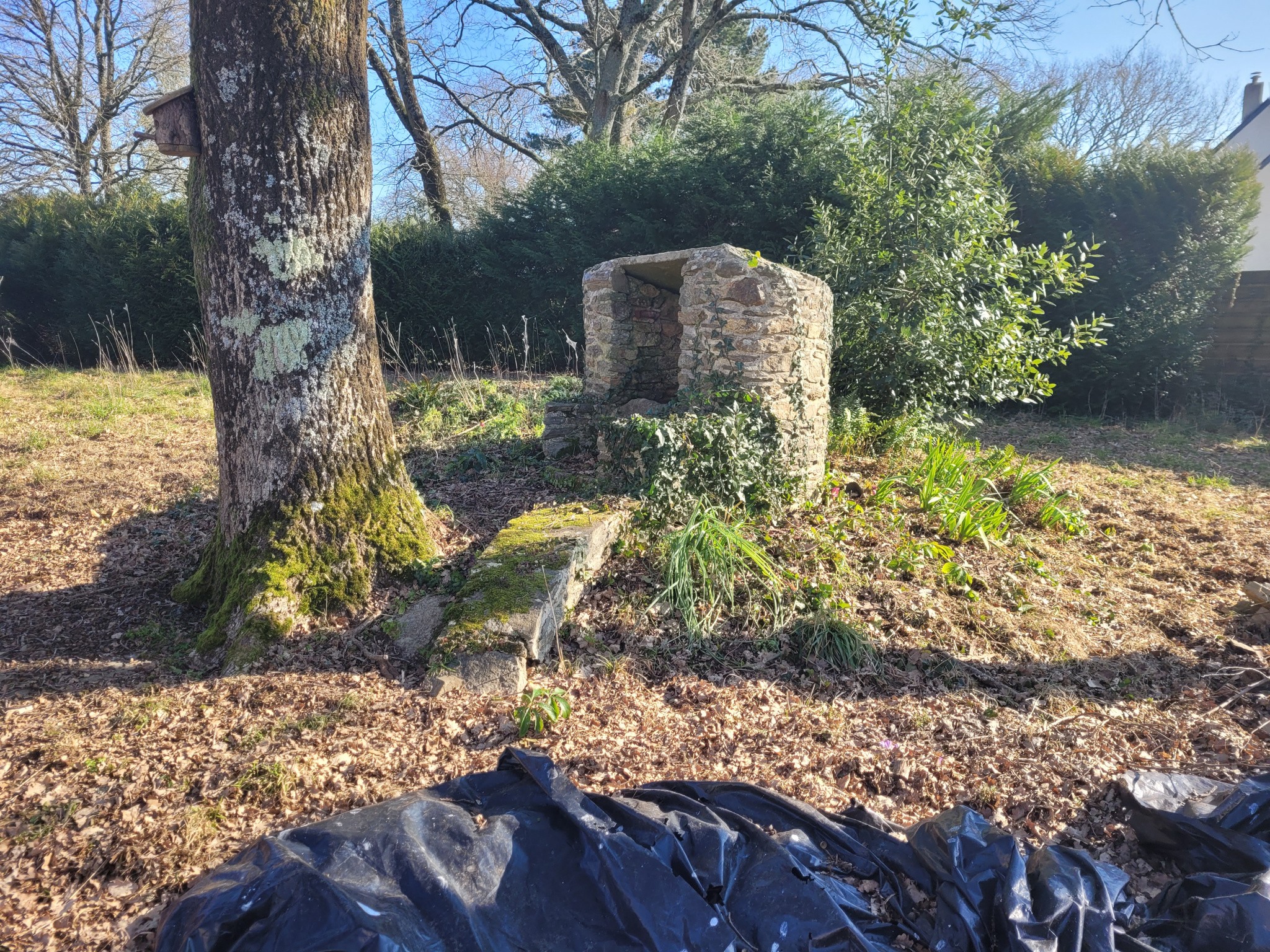 Vente Terrain à la Chapelle-des-Marais 0 pièce