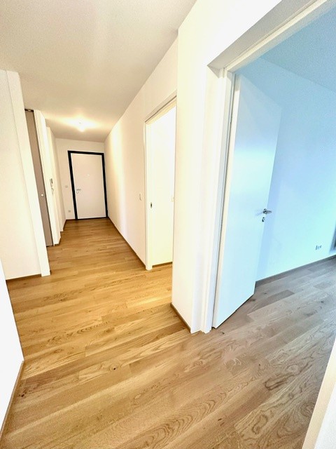 Vente Appartement à Ferney-Voltaire 4 pièces