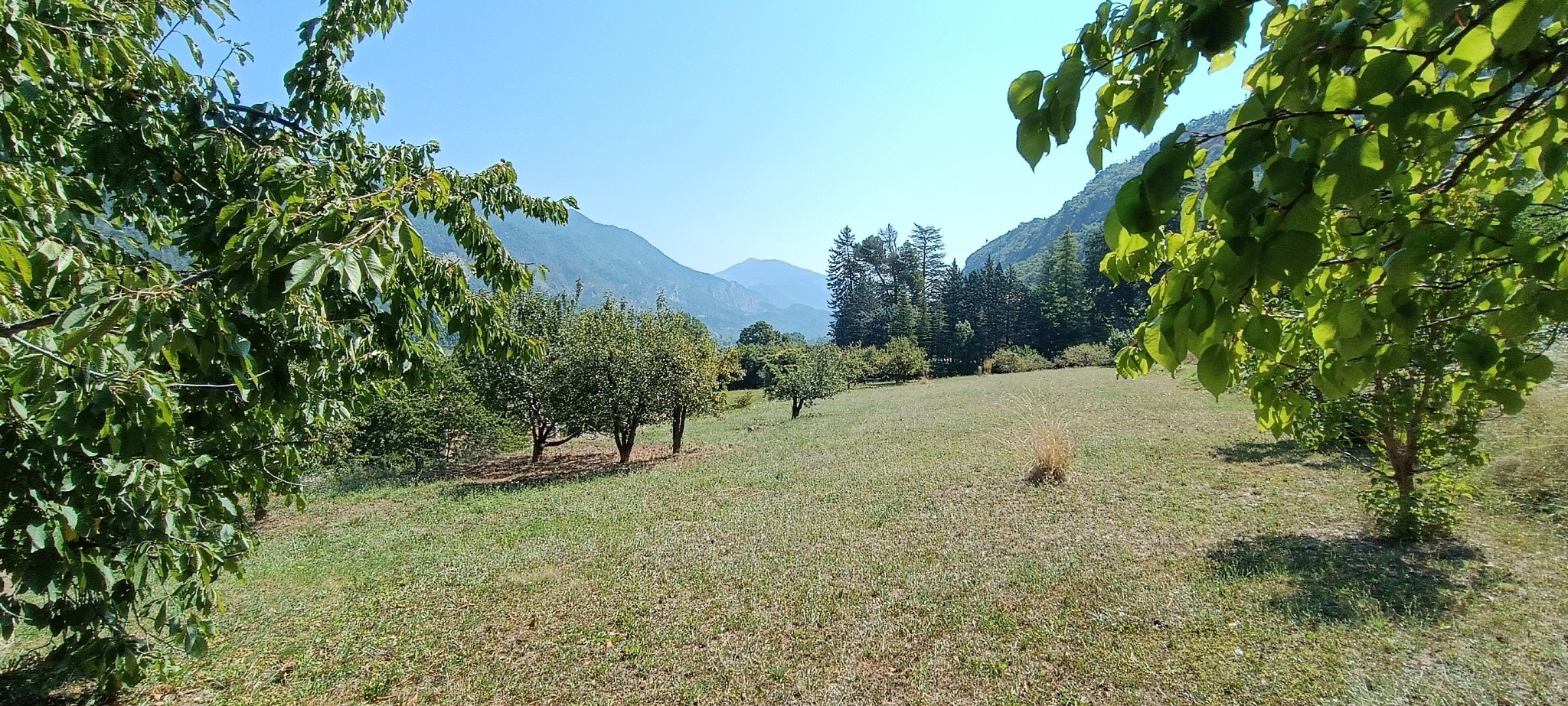 Vente Maison à Entrevaux 6 pièces