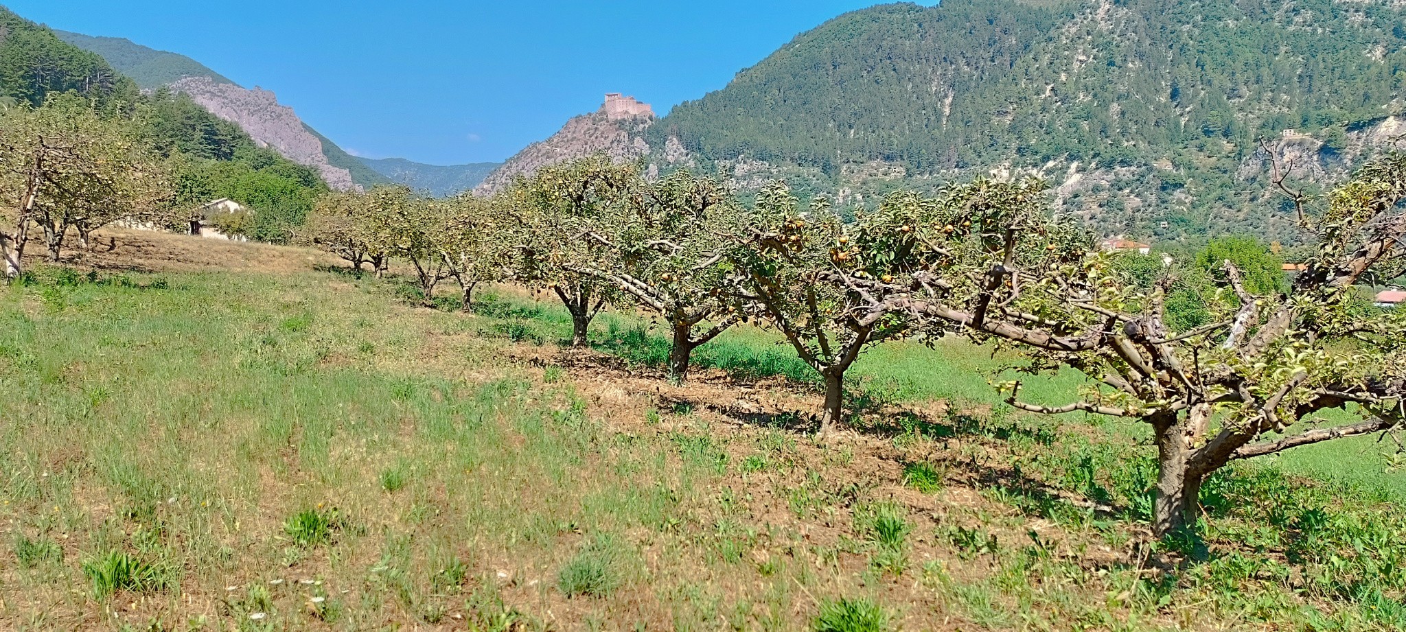 Vente Maison à Entrevaux 6 pièces