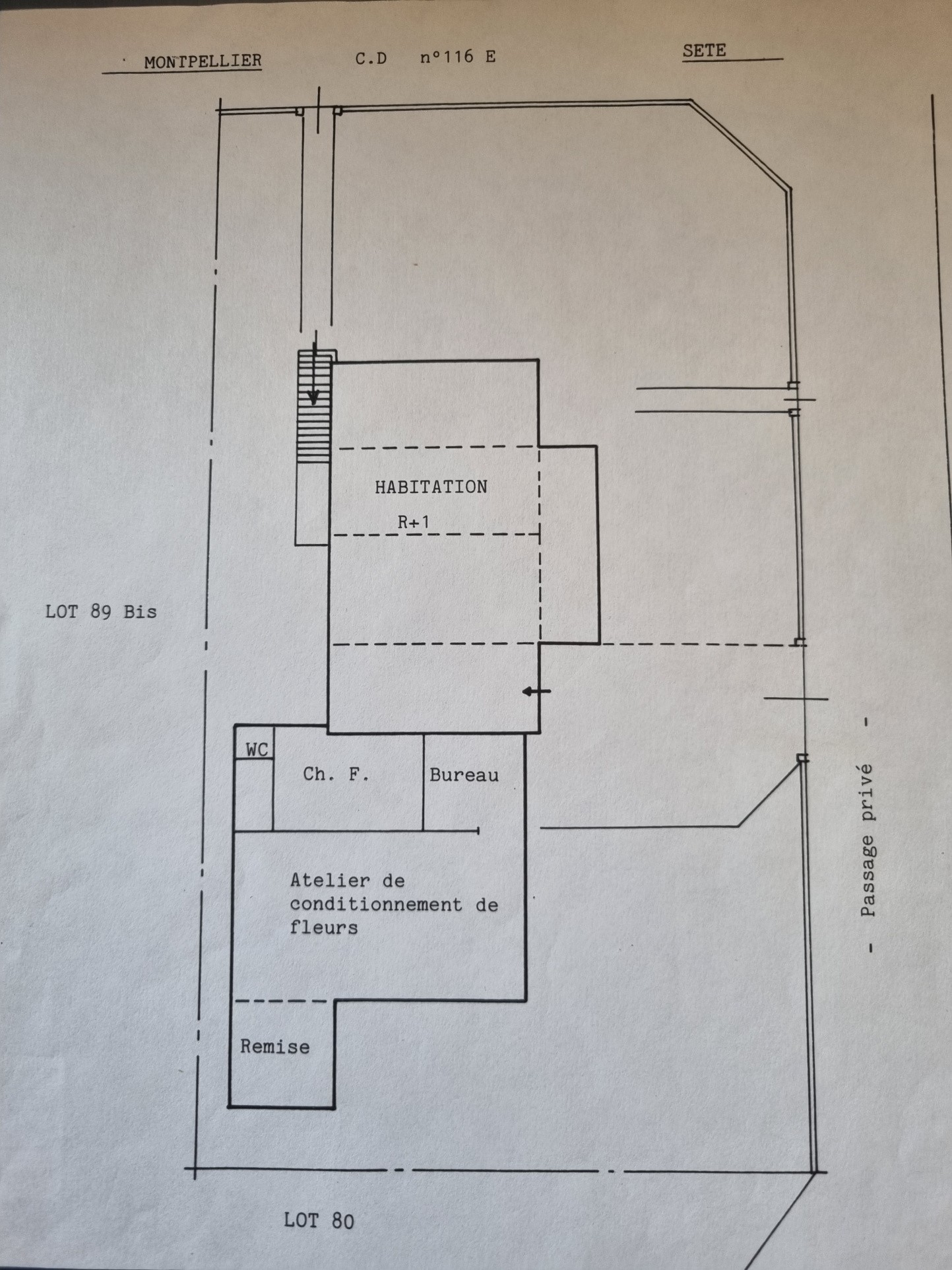 Vente Maison à Lattes 5 pièces