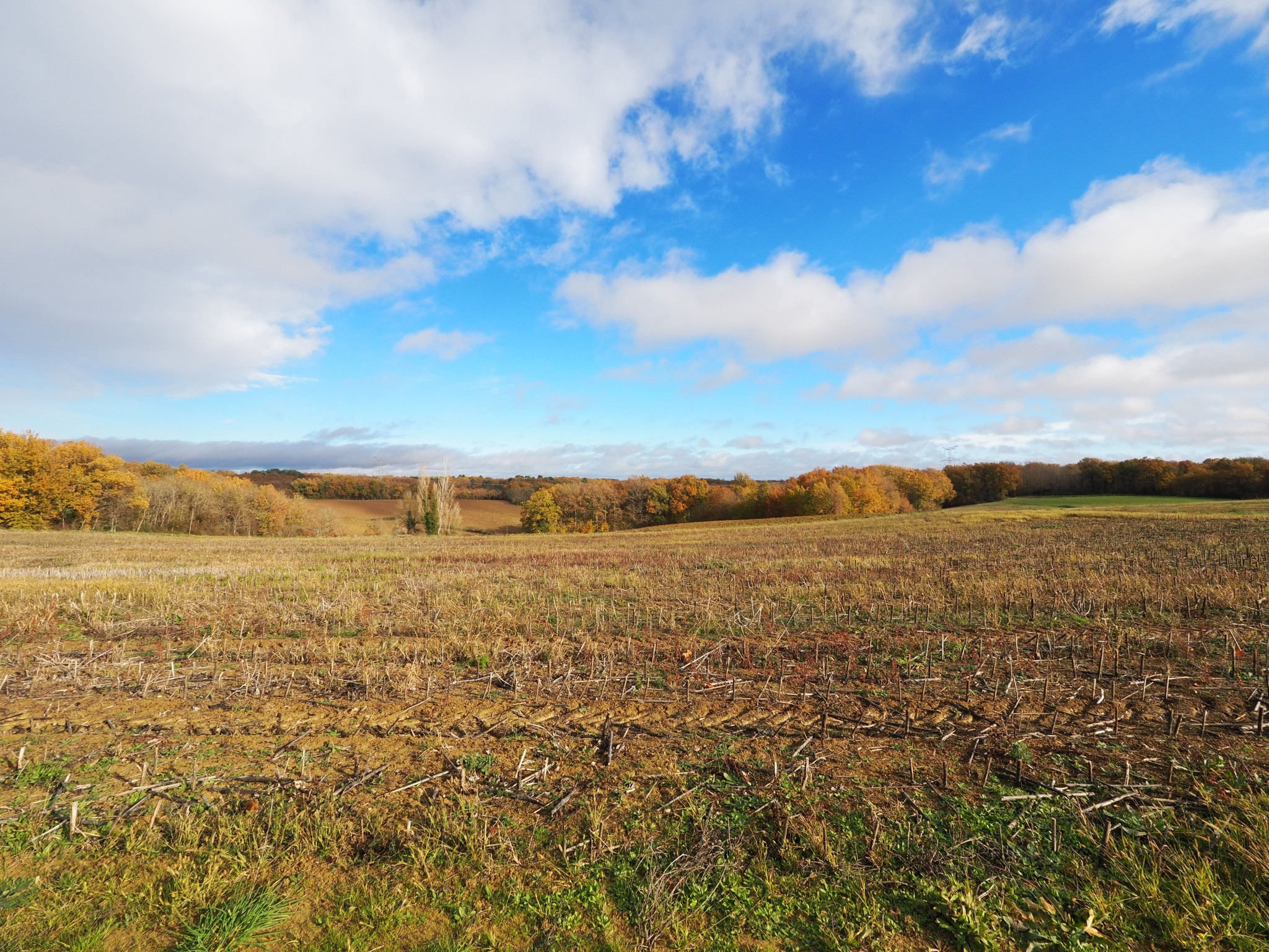 Vente Maison à Marmande 4 pièces