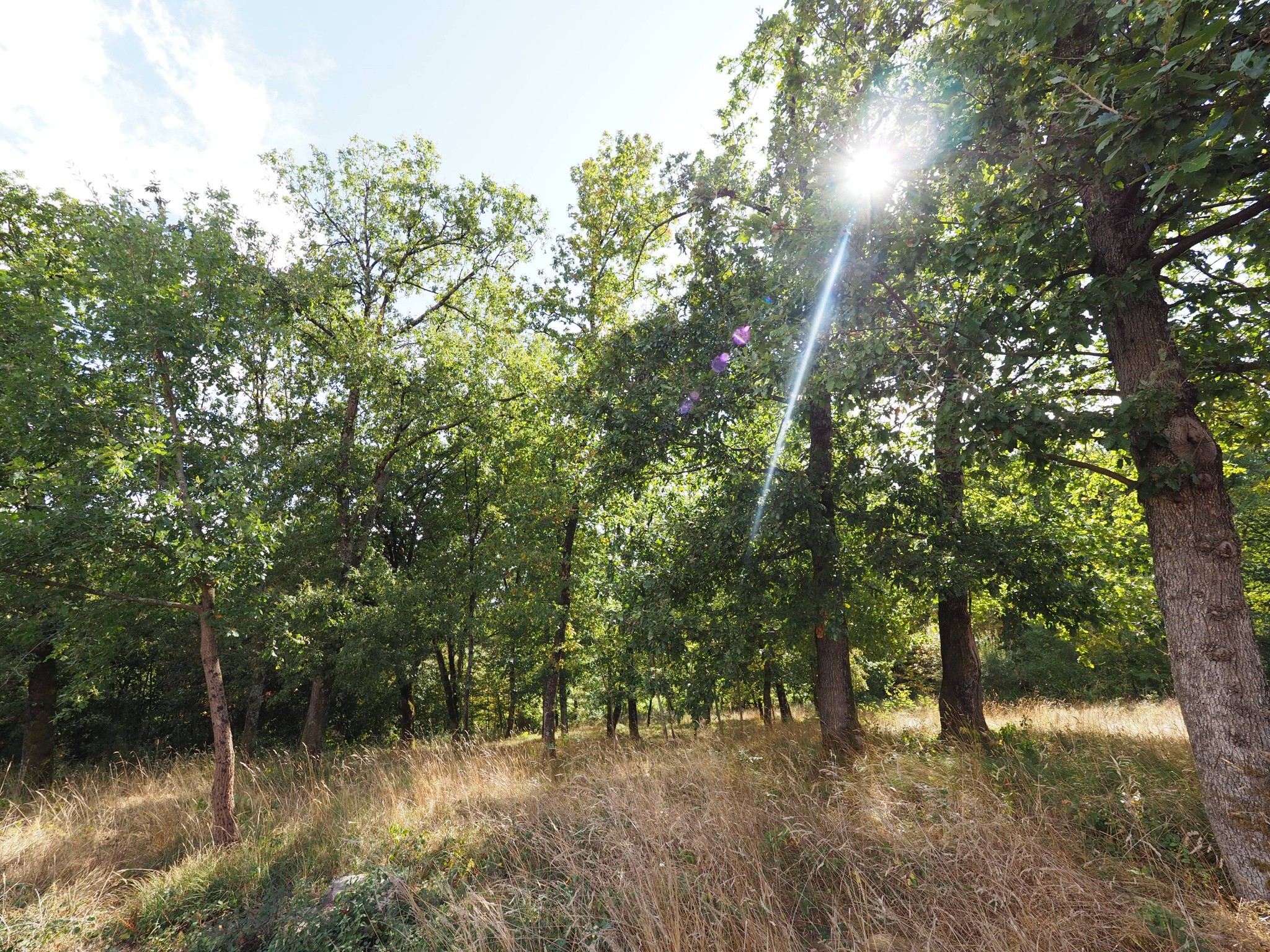 Vente Maison à Marmande 5 pièces