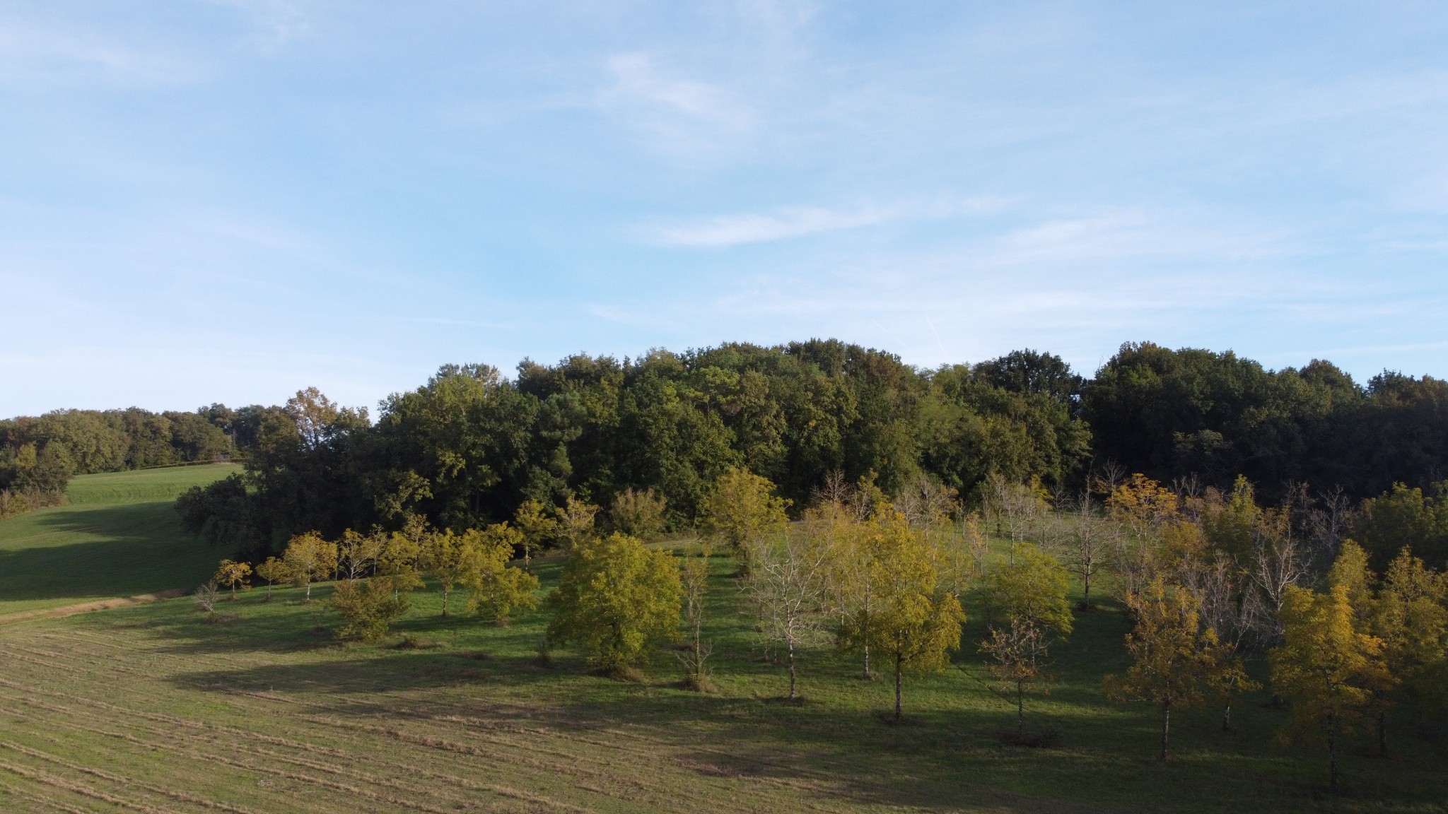 Vente Maison à Duras 8 pièces