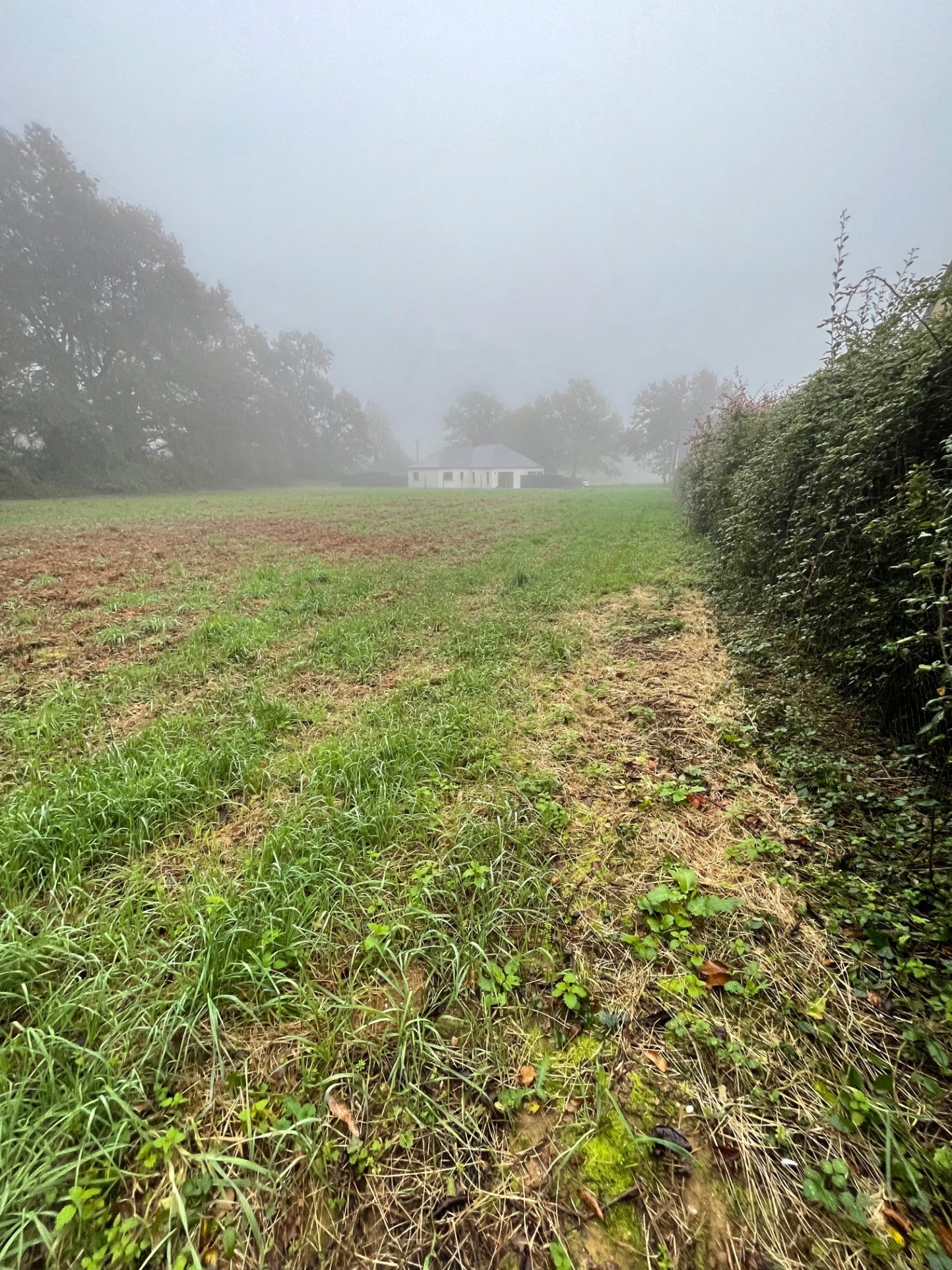 Vente Terrain à Redon 0 pièce