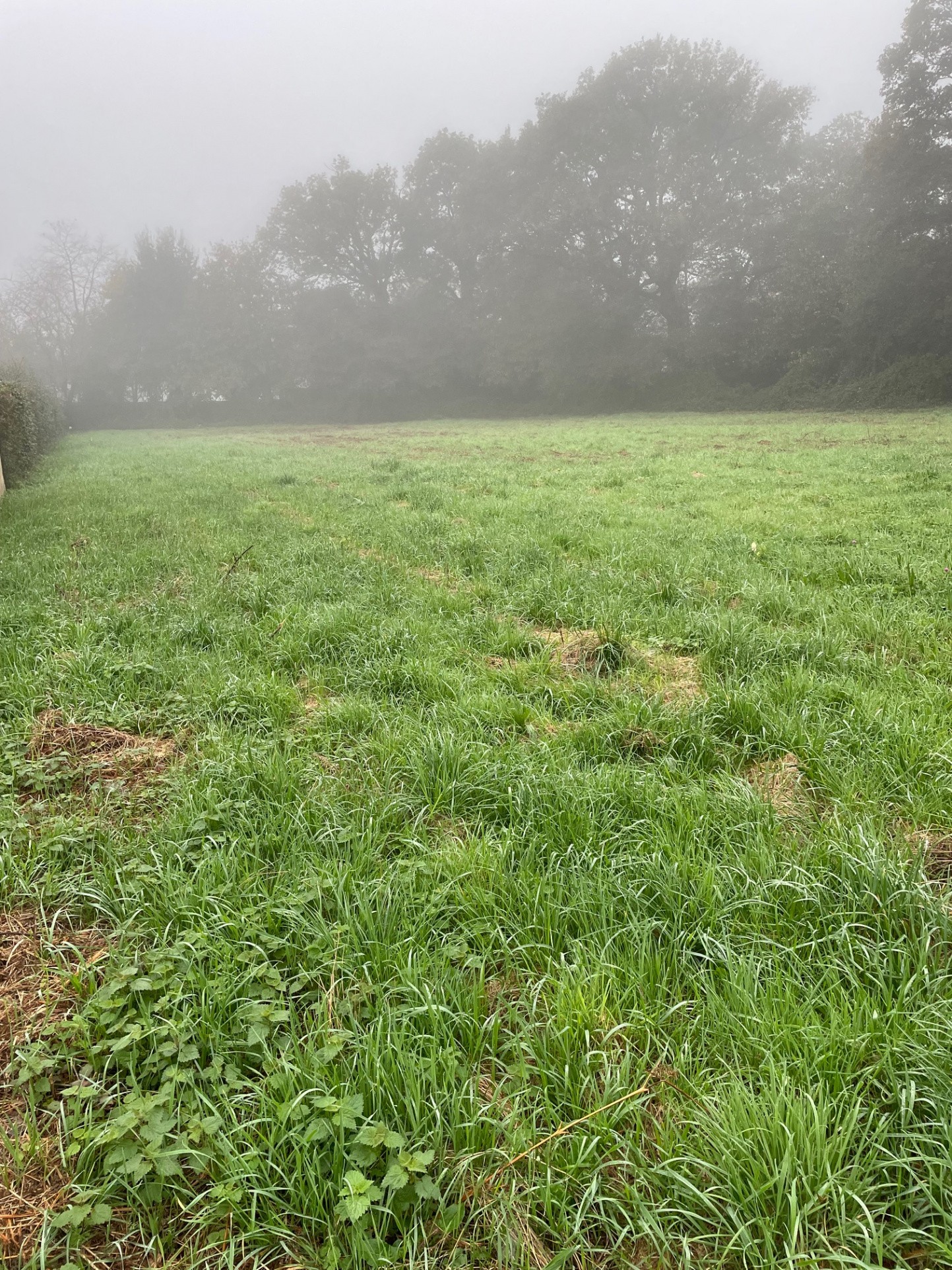 Vente Terrain à Redon 0 pièce