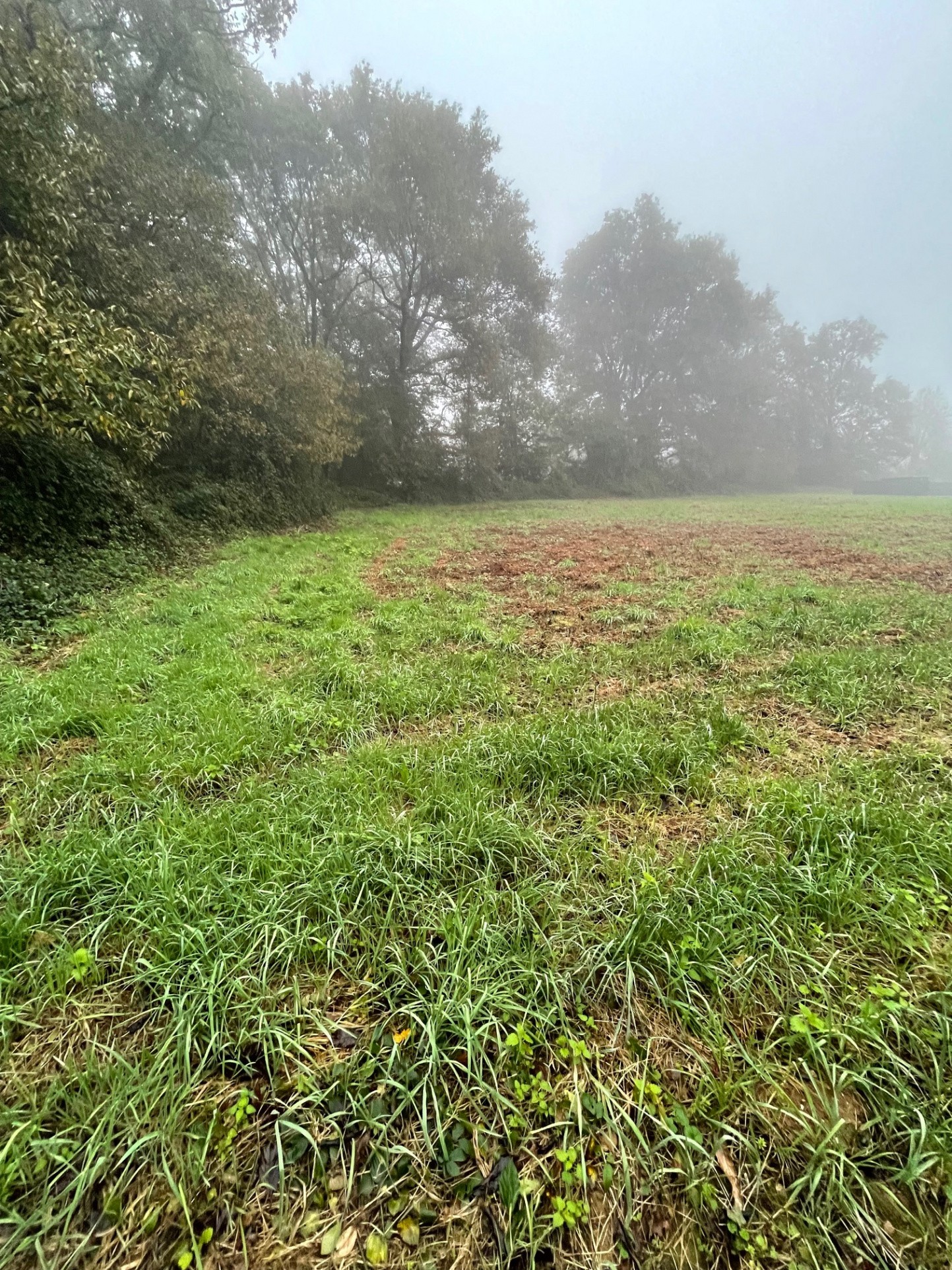 Vente Terrain à Redon 0 pièce