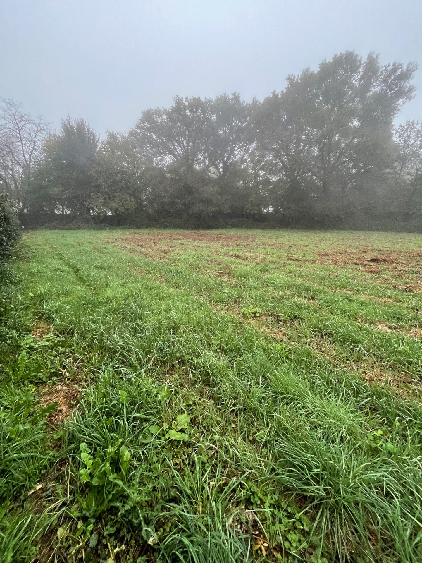 Vente Terrain à Redon 0 pièce