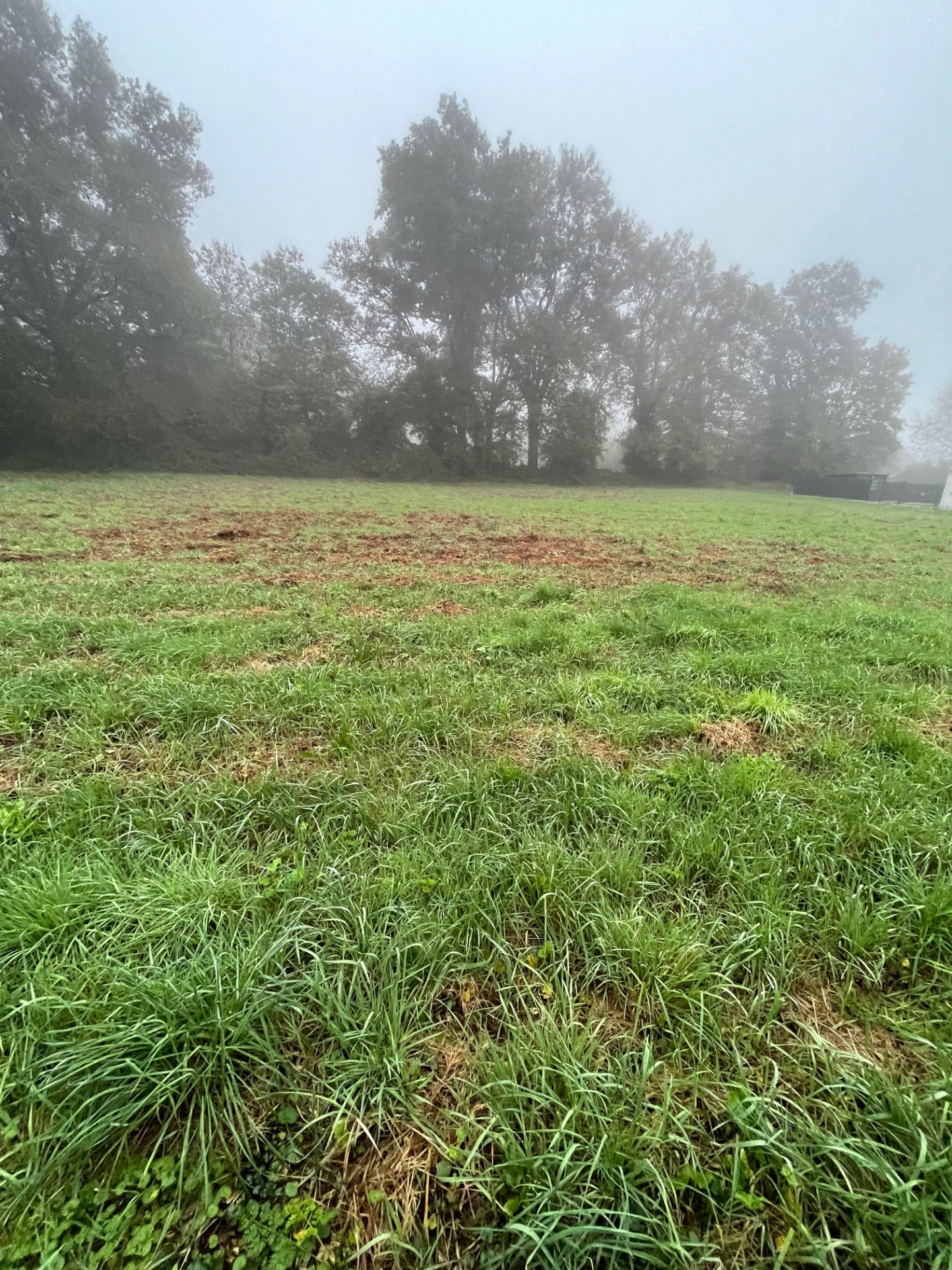 Vente Terrain à Redon 0 pièce