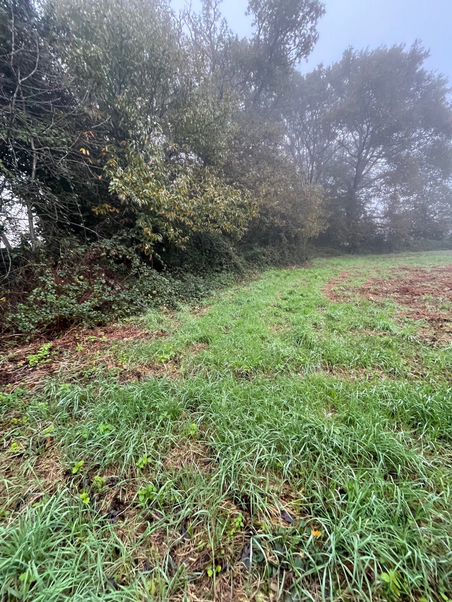 Vente Terrain à Redon 0 pièce