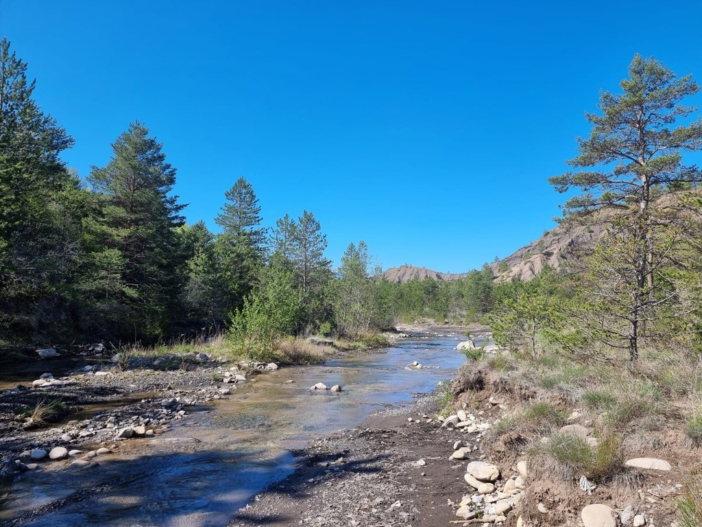 Vente Maison à Sisteron 21 pièces