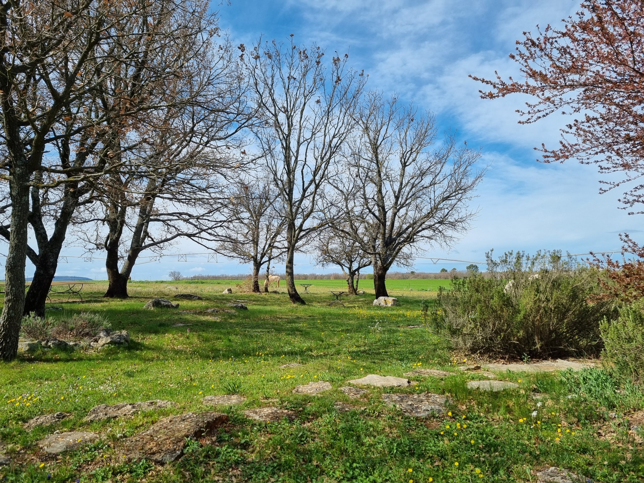 Vente Maison à Quinson 20 pièces