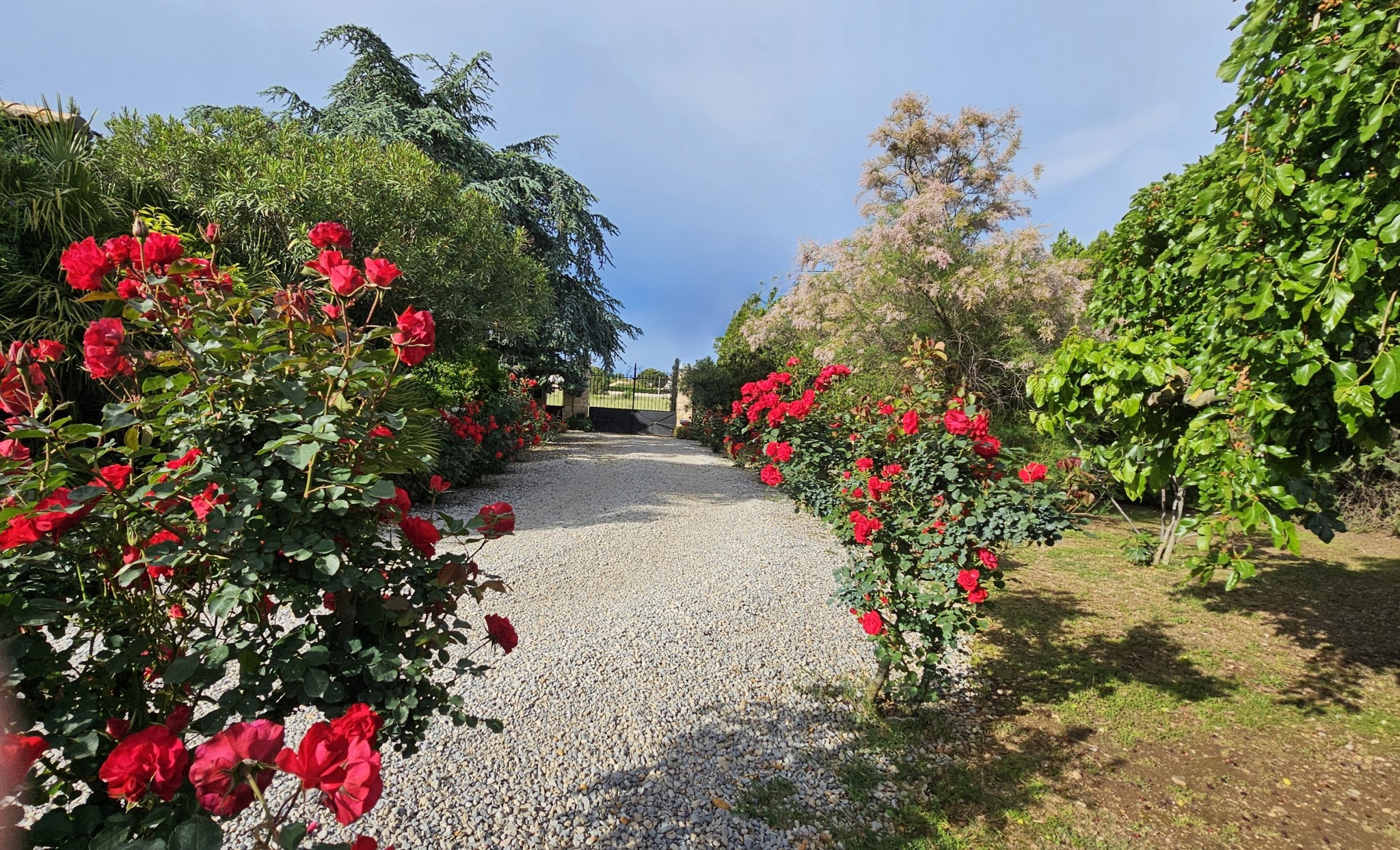 Vente Maison à Saint-Gilles 9 pièces