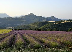 Vente Maison à Digne-les-Bains 33 pièces