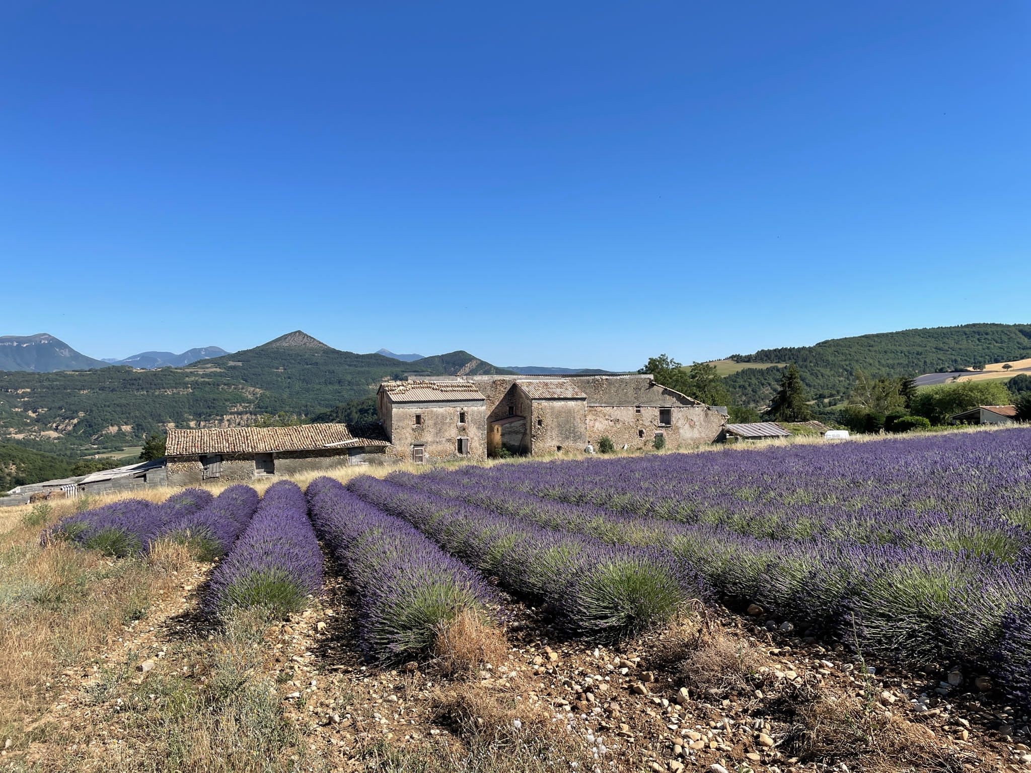 Vente Maison à Digne-les-Bains 33 pièces