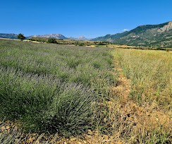 Vente Maison à Digne-les-Bains 33 pièces