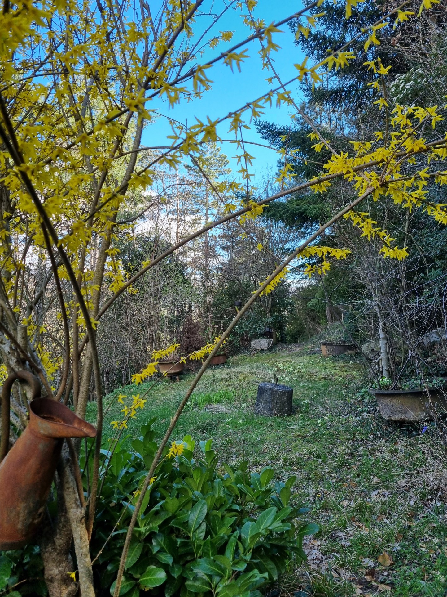 Vente Maison à Sisteron 10 pièces