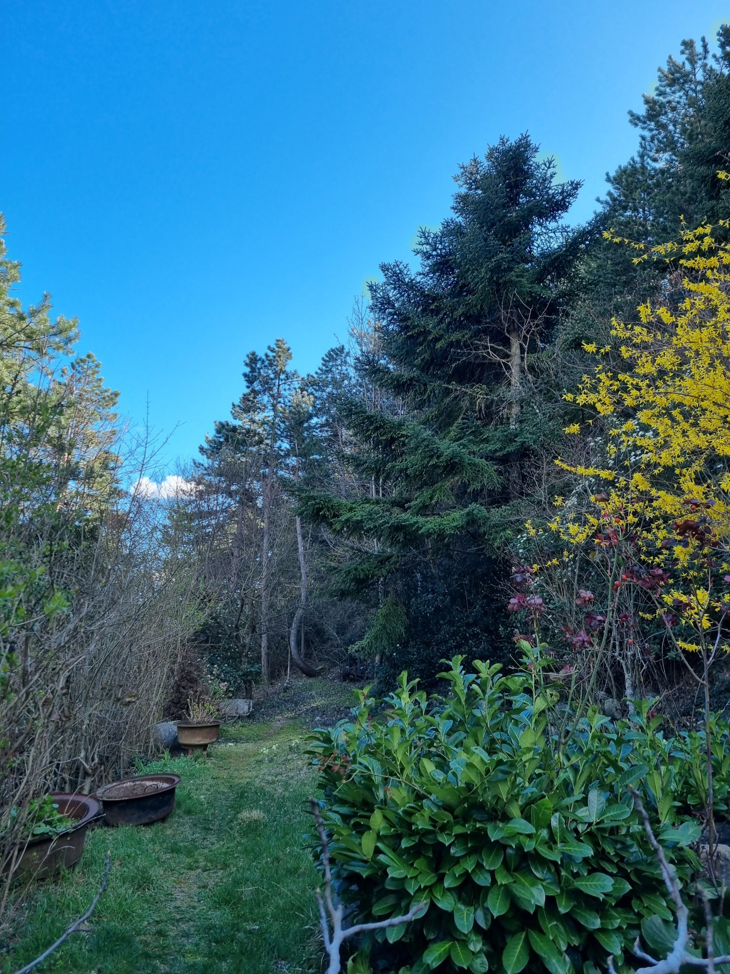 Vente Maison à Sisteron 10 pièces