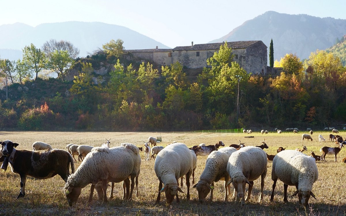 Vente Maison à Sisteron 10 pièces