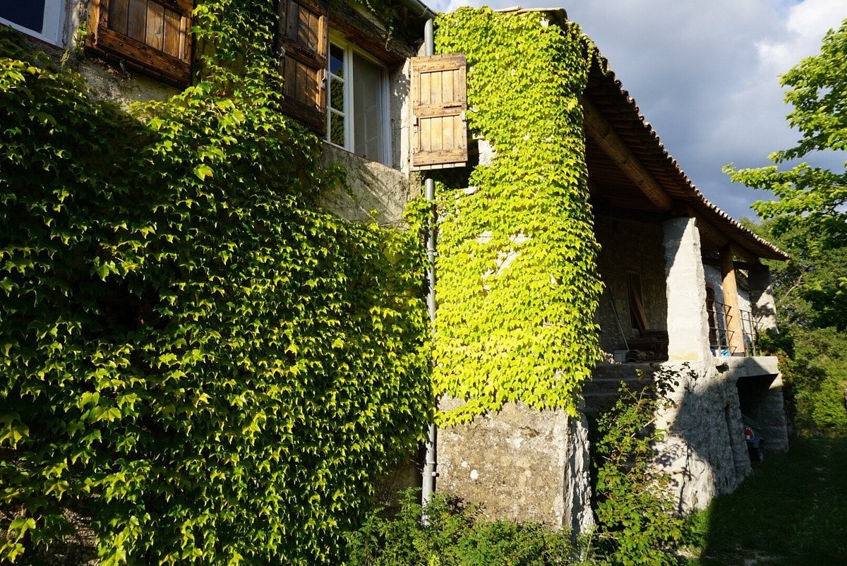 Vente Maison à Sisteron 10 pièces