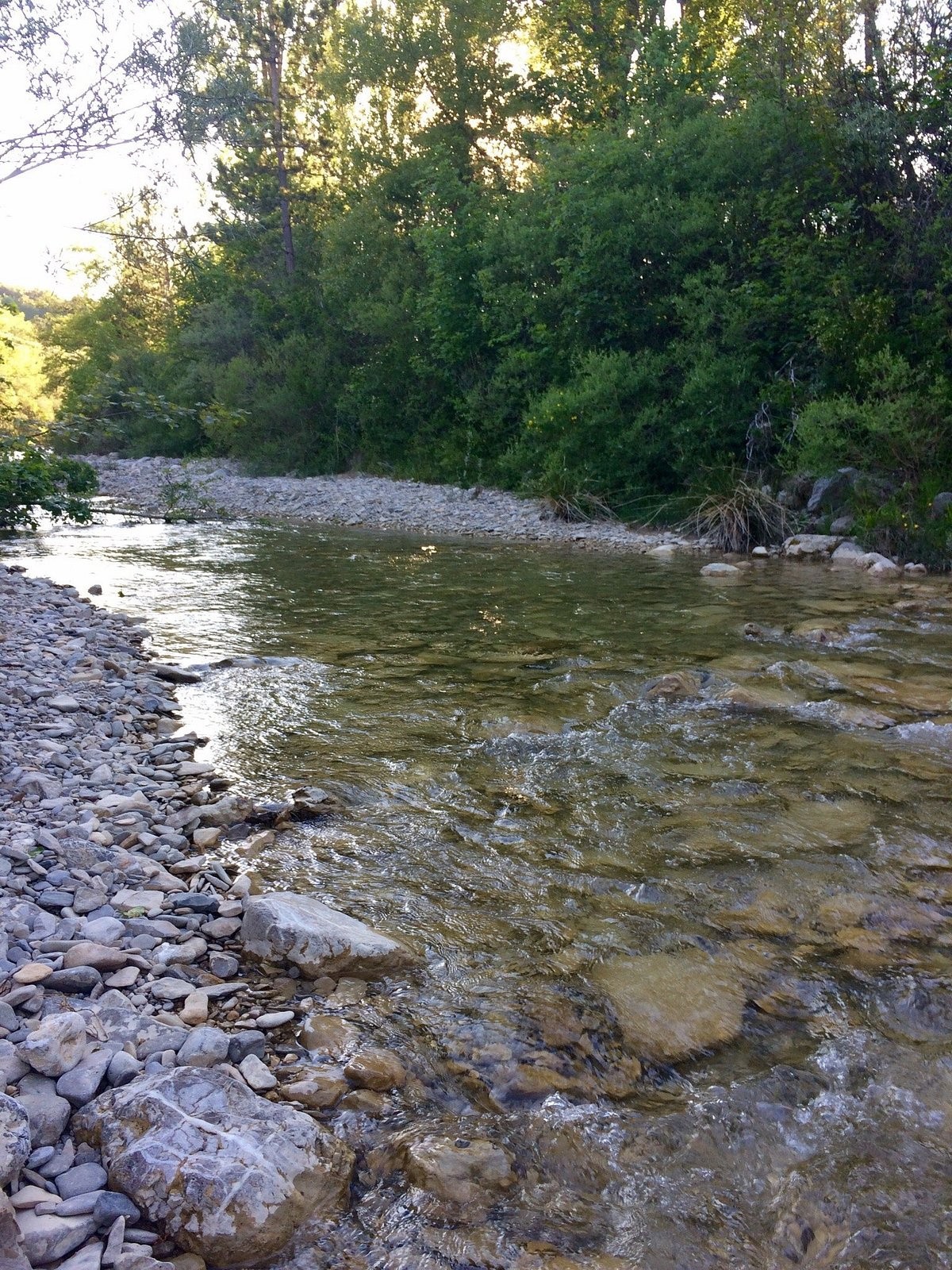 Vente Maison à Sisteron 10 pièces