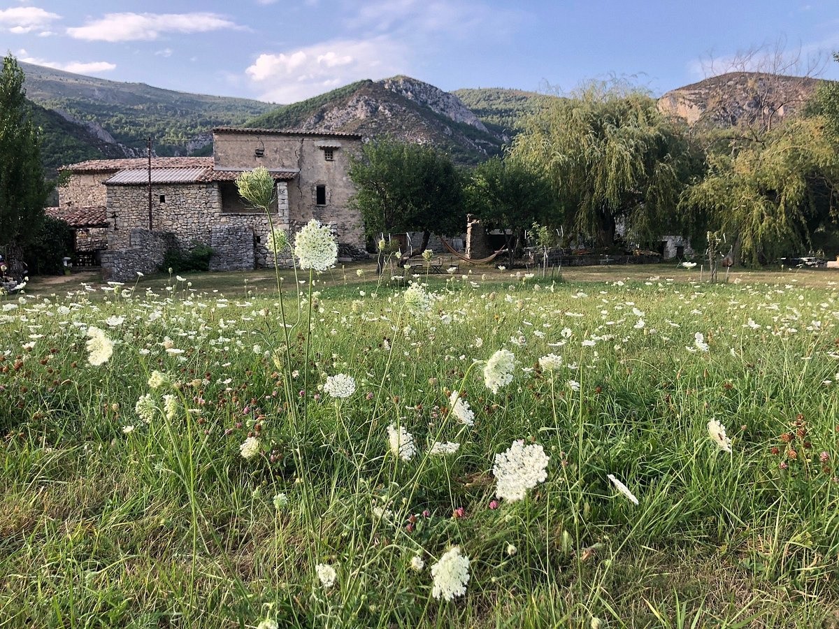 Vente Maison à Sisteron 10 pièces