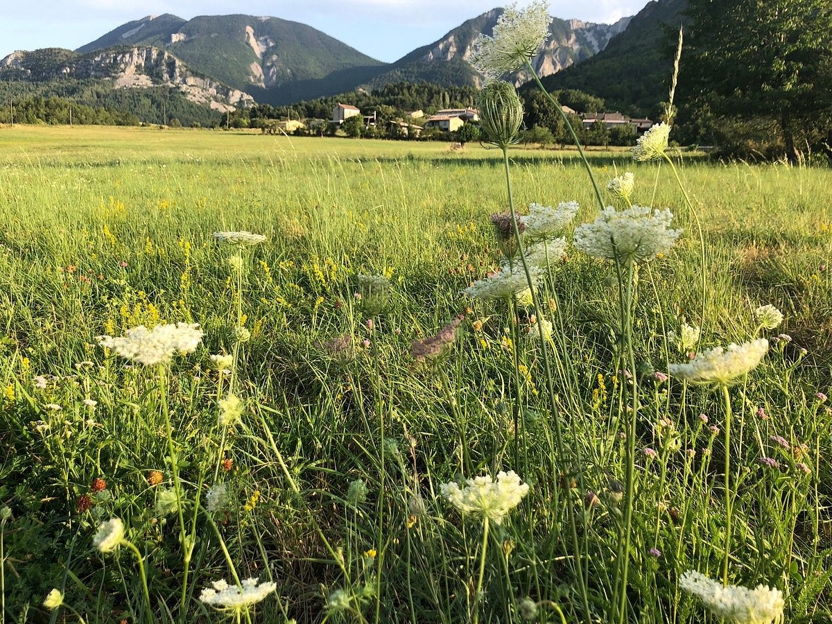 Vente Maison à Sisteron 10 pièces