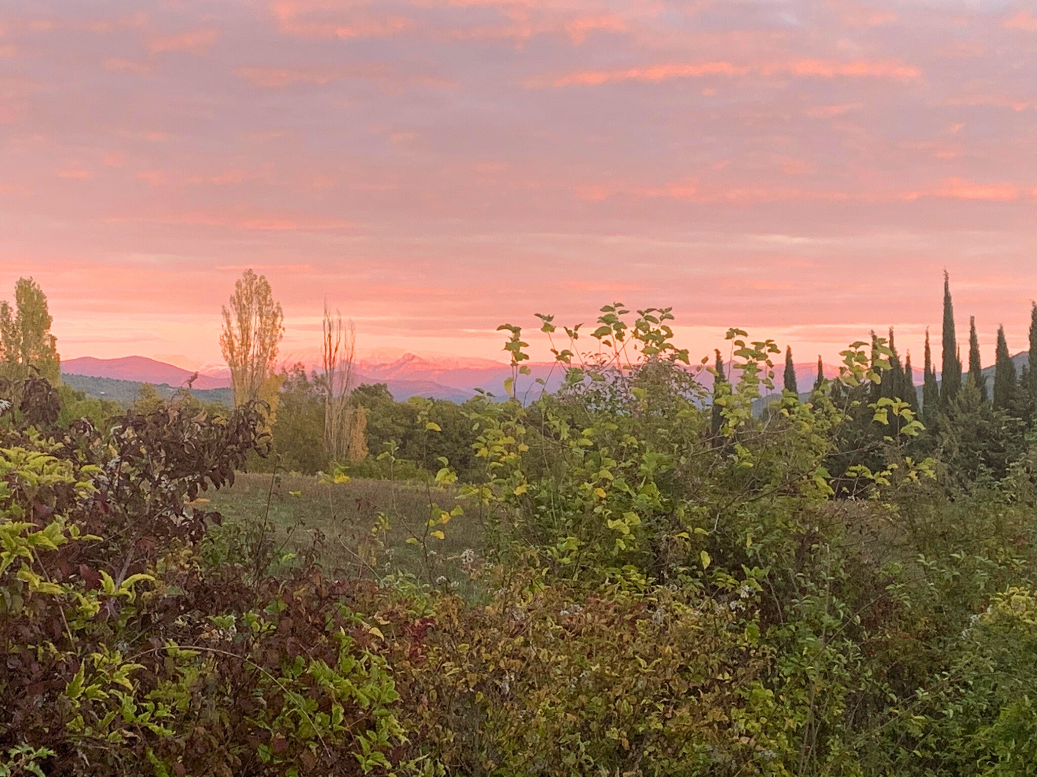 Vente Maison à Forcalquier 7 pièces