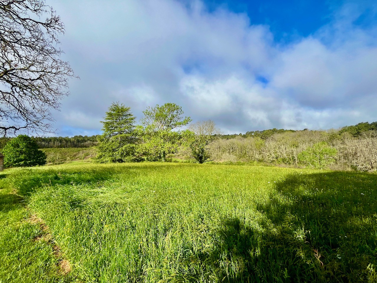 Vente Maison à Cuzorn 3 pièces