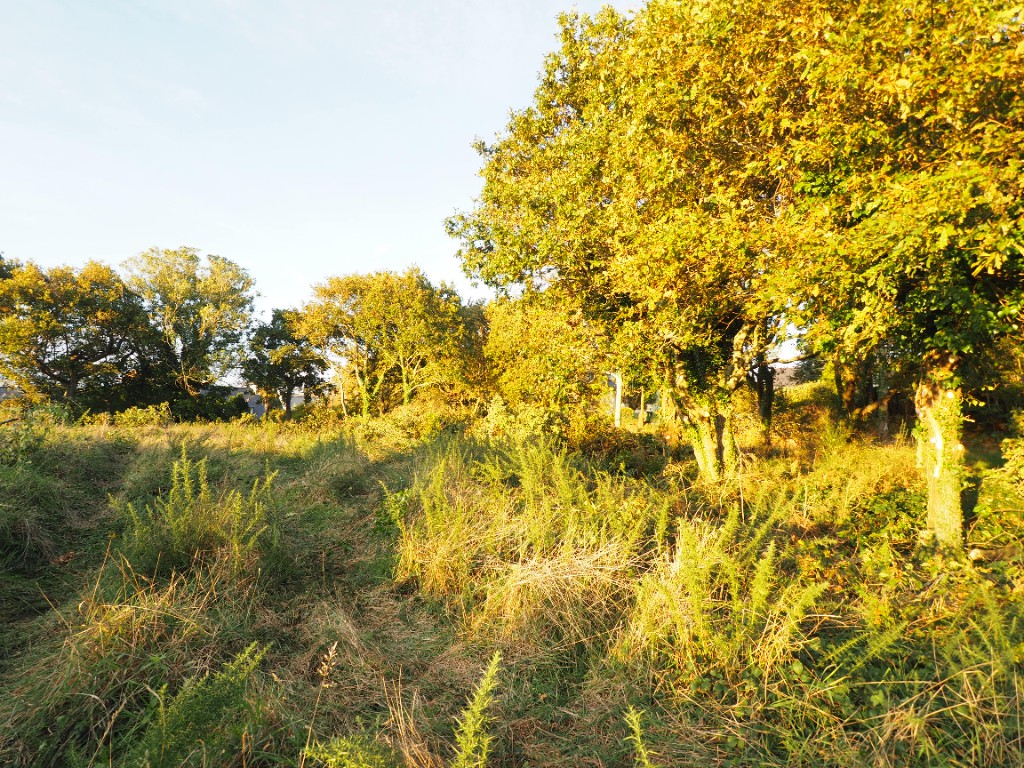 Vente Terrain à Concarneau 0 pièce