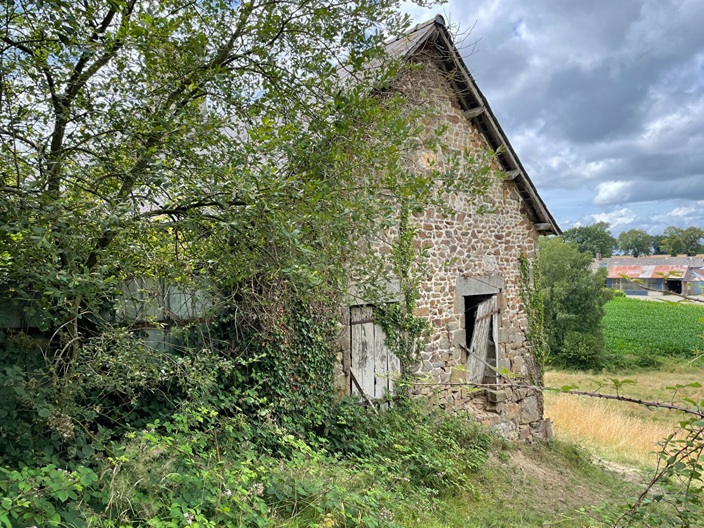 Vente Maison à Luitré 3 pièces