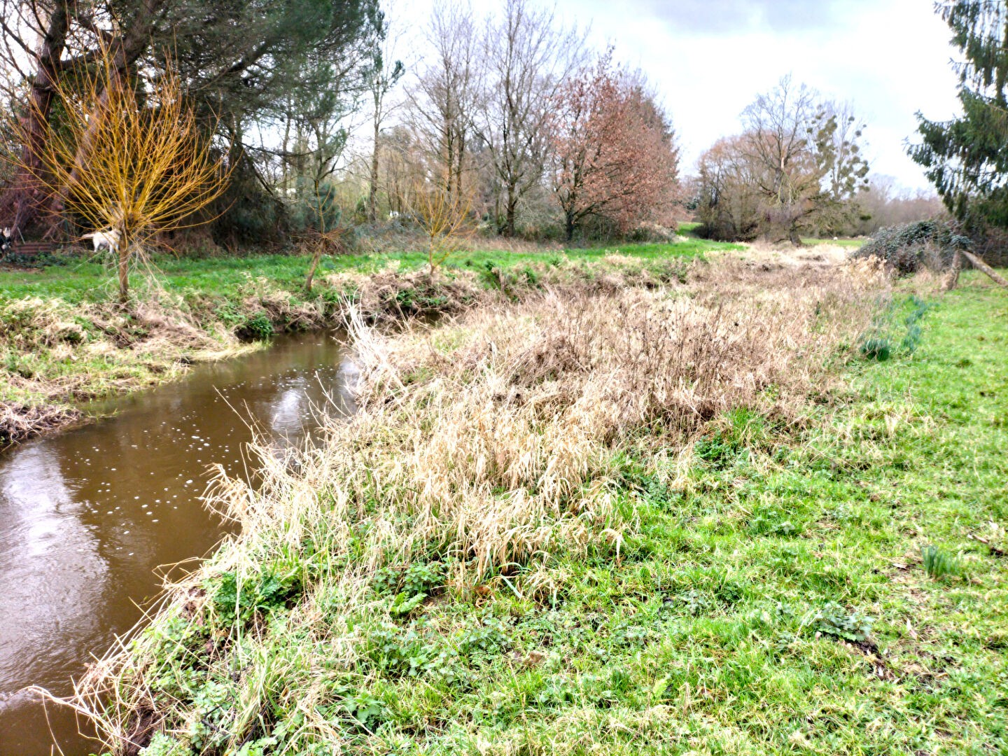 Vente Terrain à Dol-de-Bretagne 0 pièce