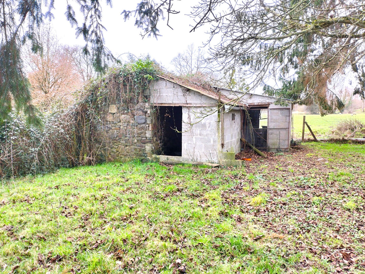 Vente Terrain à Dol-de-Bretagne 0 pièce