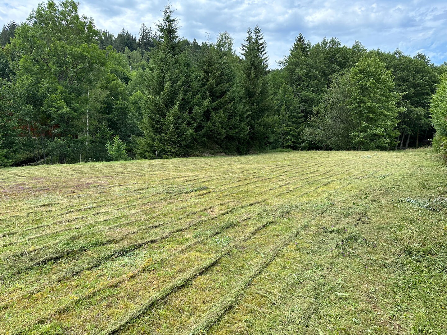 Vente Terrain à Xonrupt-Longemer 0 pièce