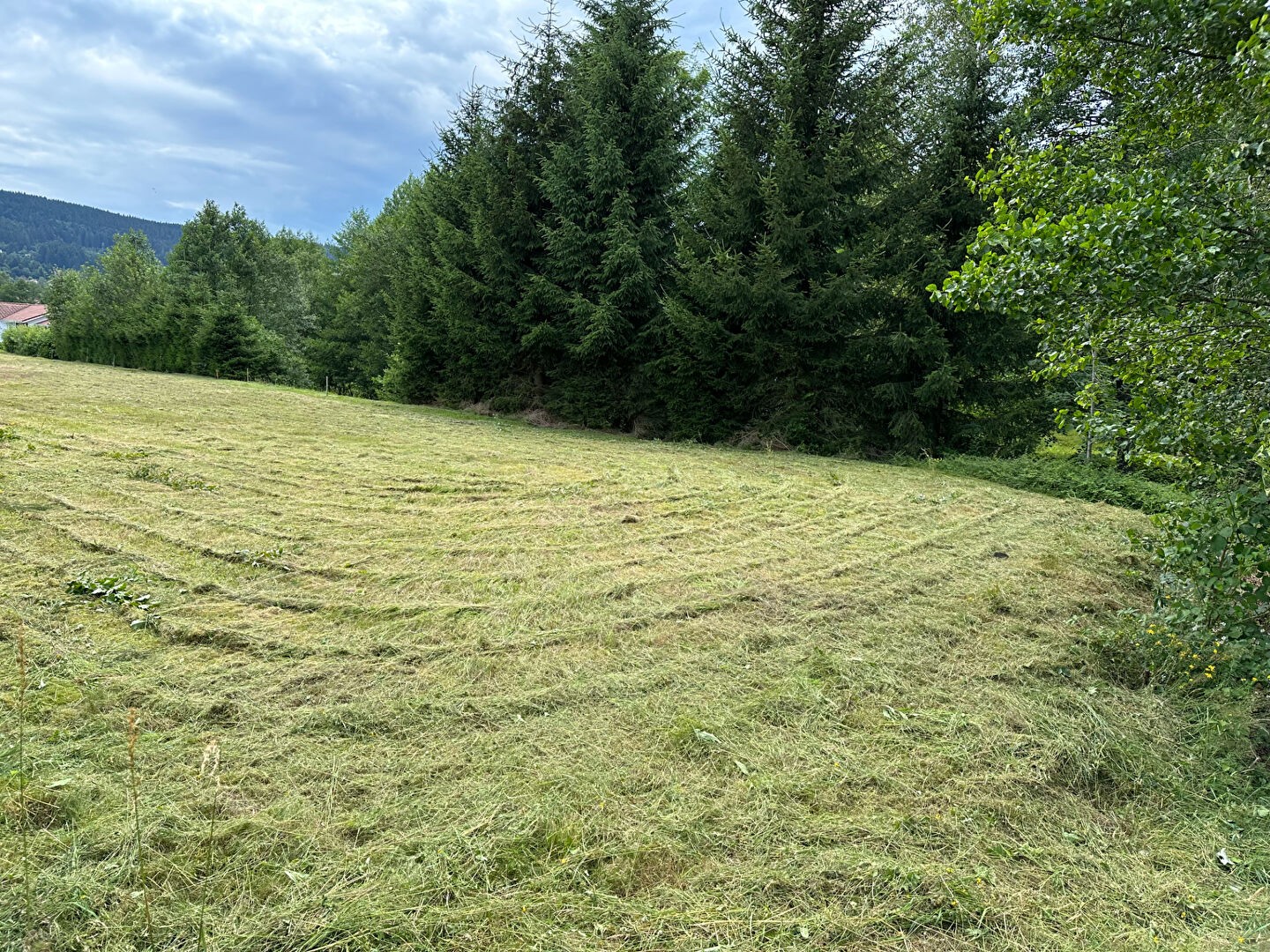 Vente Terrain à Xonrupt-Longemer 0 pièce