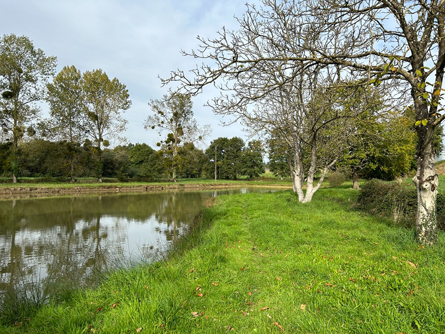 Vente Terrain à Montauban-de-Bretagne 0 pièce