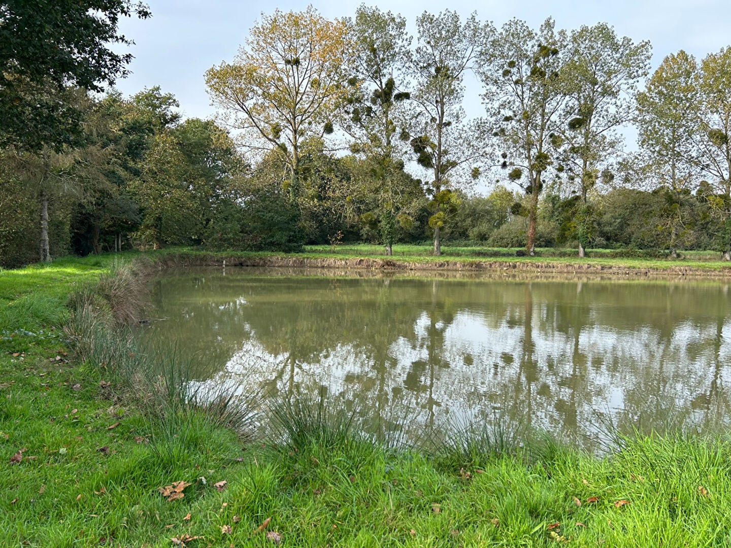 Vente Terrain à Montauban-de-Bretagne 0 pièce