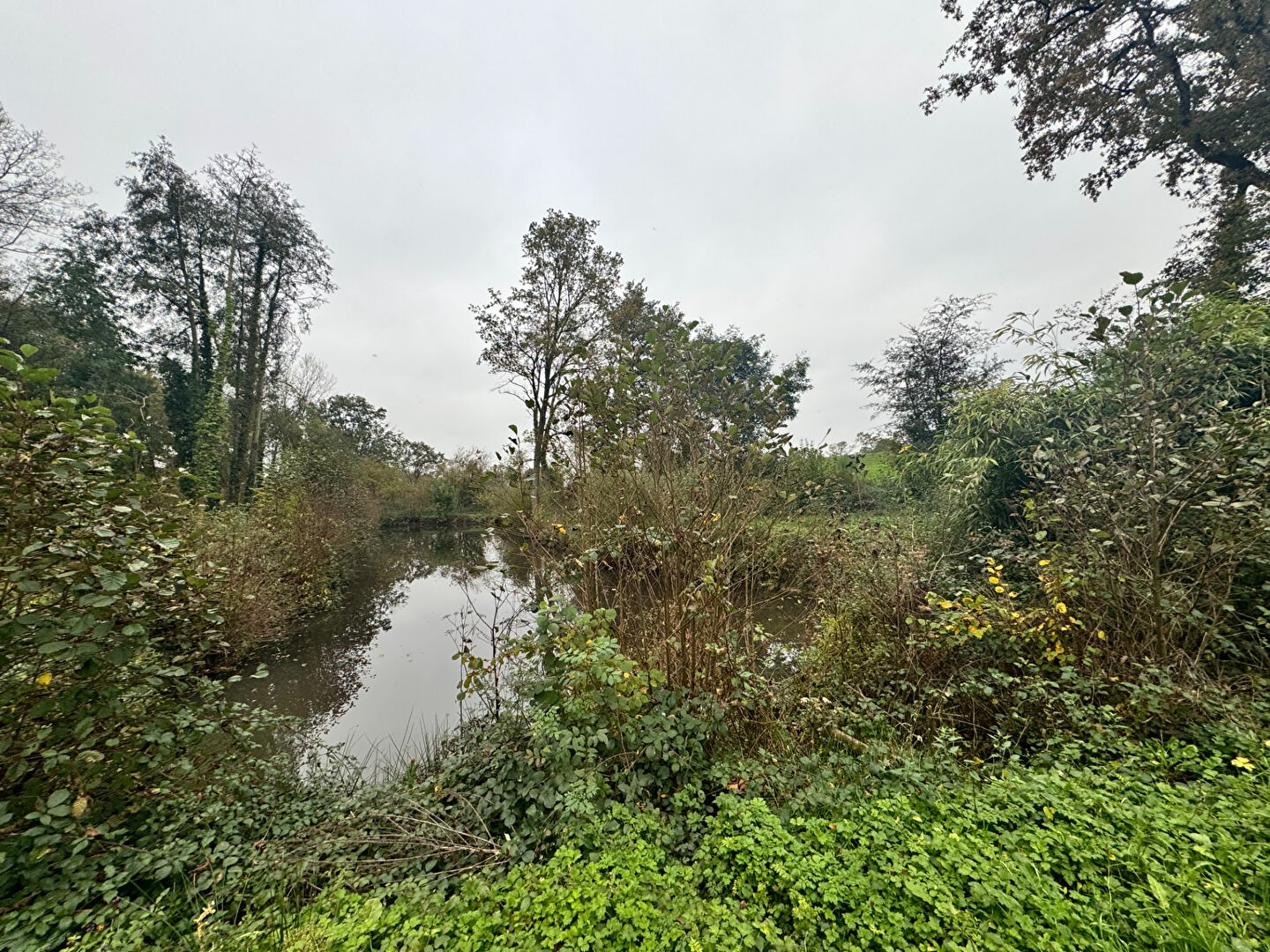 Vente Terrain à le Genest-Saint-Isle 0 pièce