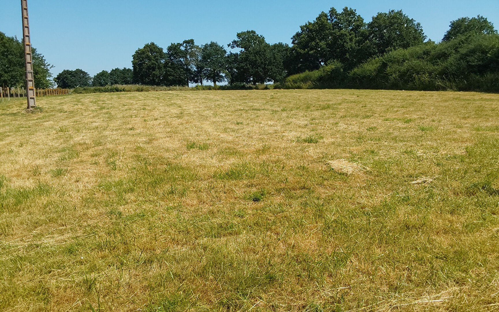 Vente Terrain à Pipriac 0 pièce