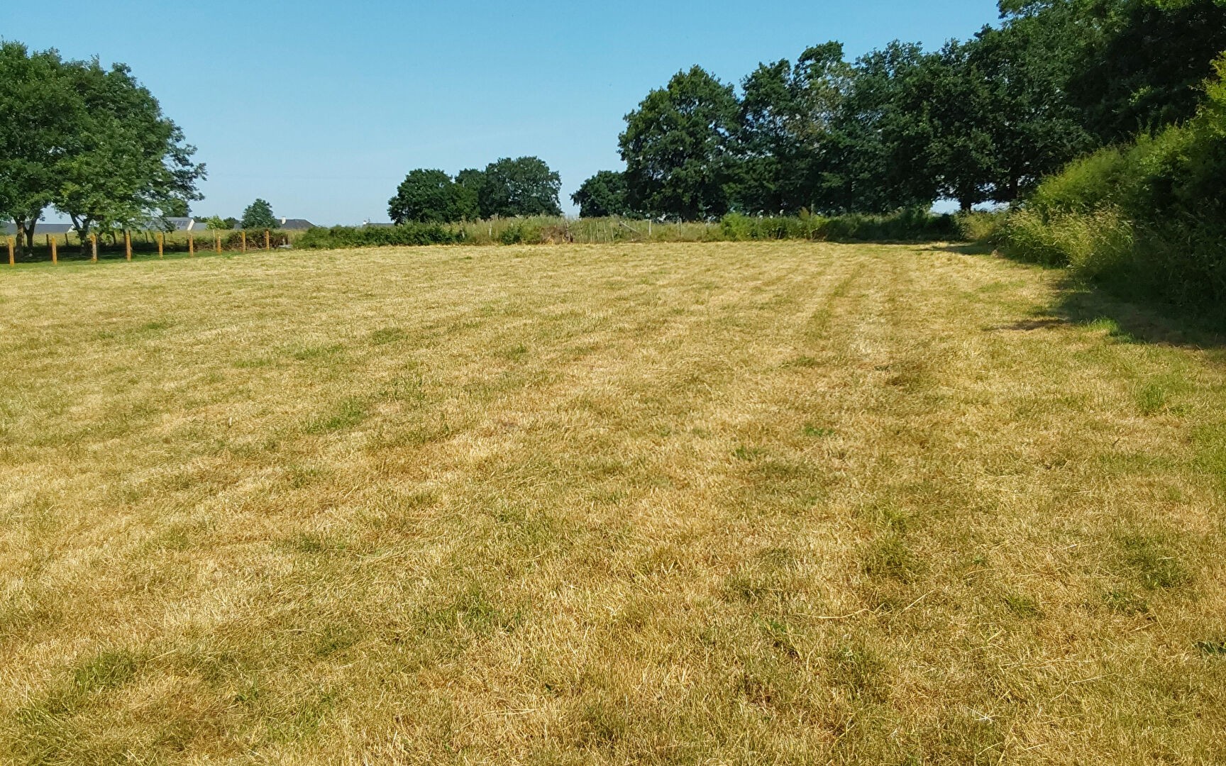 Vente Terrain à Pipriac 0 pièce