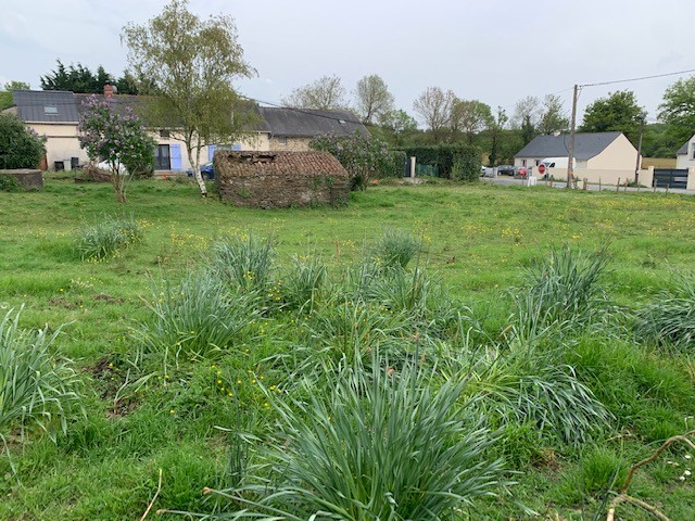 Vente Terrain à Saint-Mars-du-Désert 0 pièce