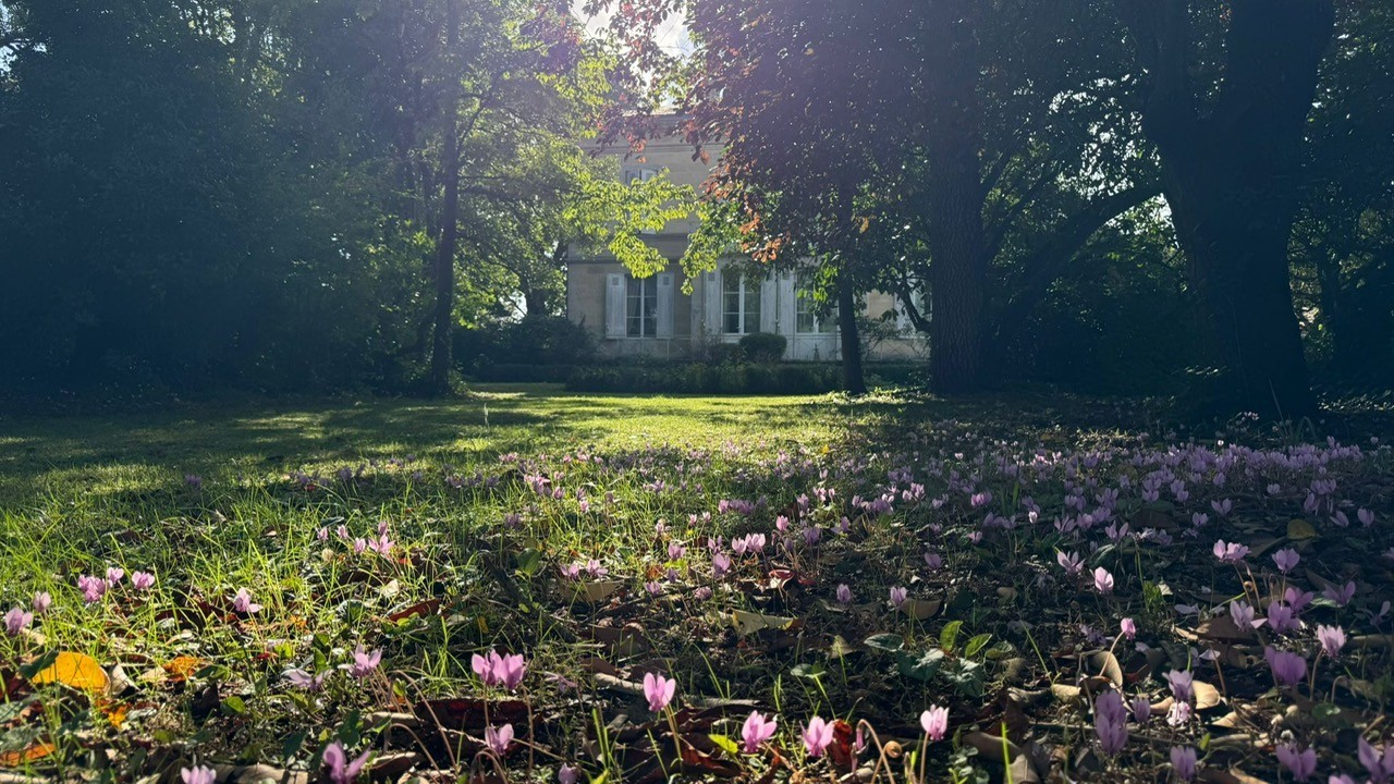 Vente Maison à Vayres 10 pièces