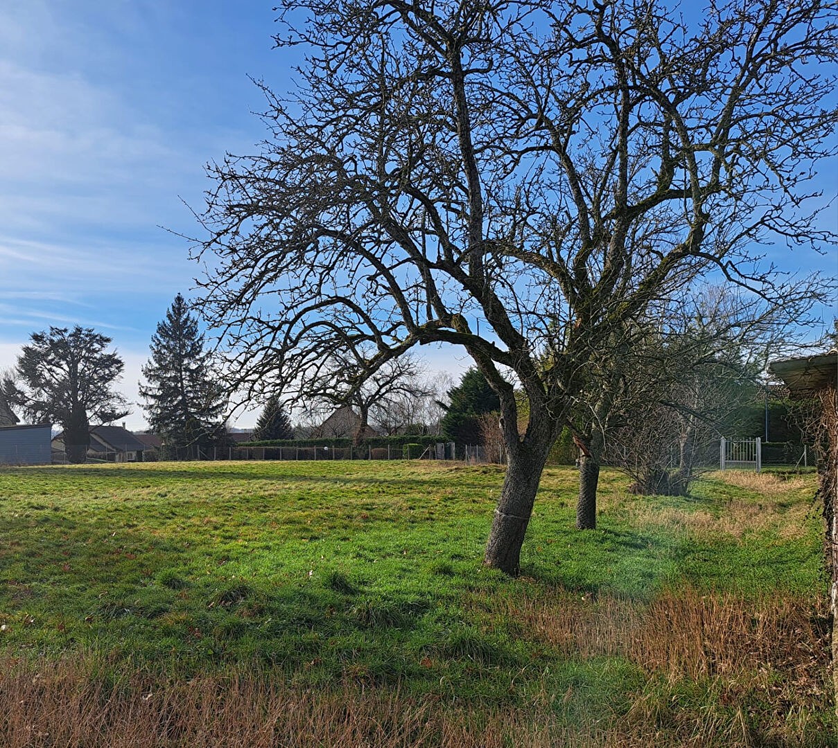 Vente Terrain à Saint-Germain-du-Bois 0 pièce