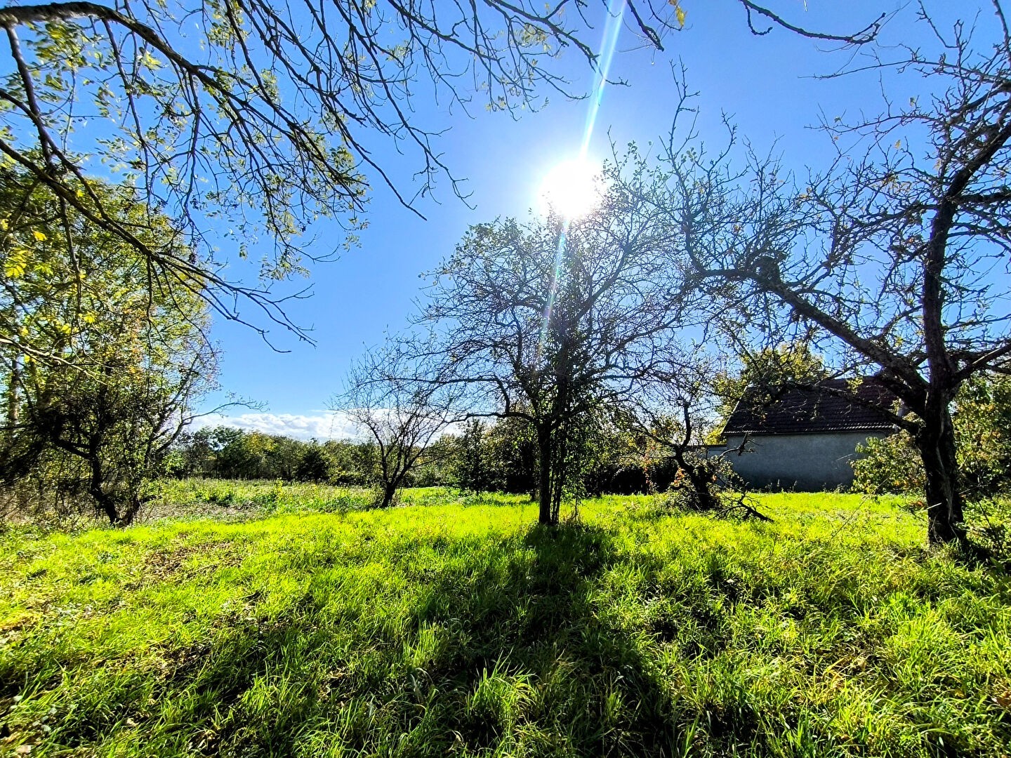 Vente Maison à Lalizolle 3 pièces