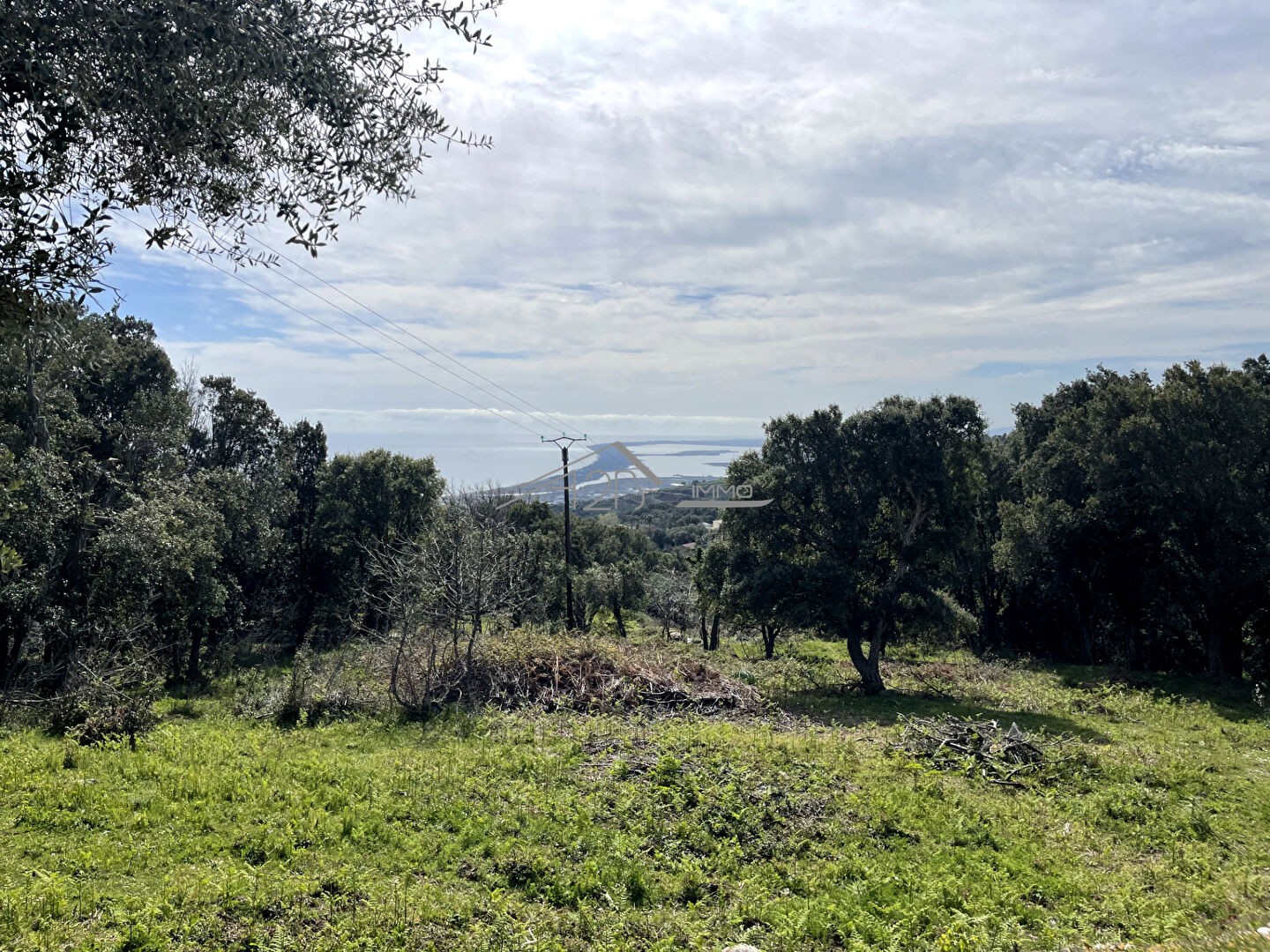 Vente Terrain à Bastia 0 pièce