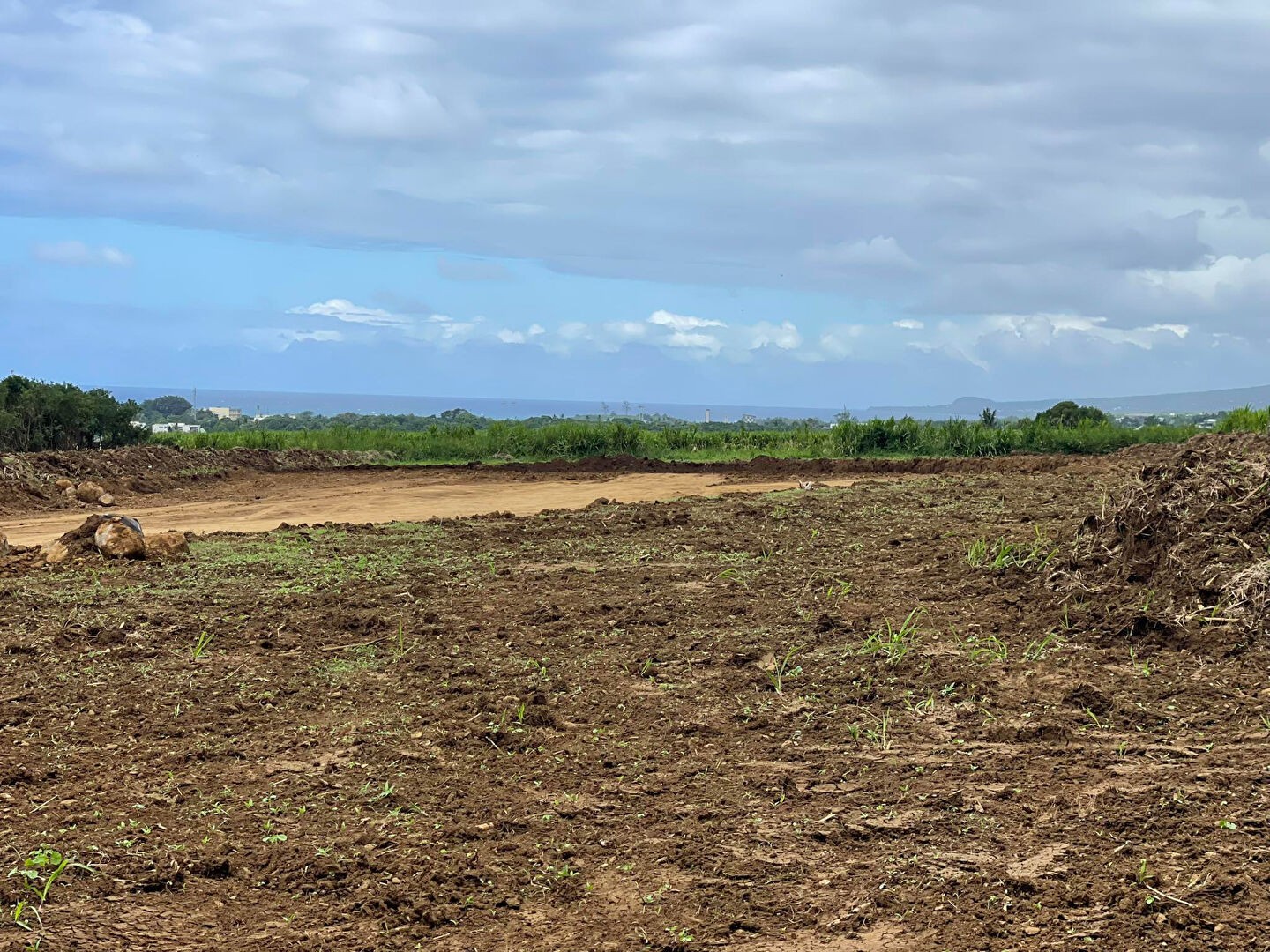 Vente Terrain à Saint-Benoît 0 pièce